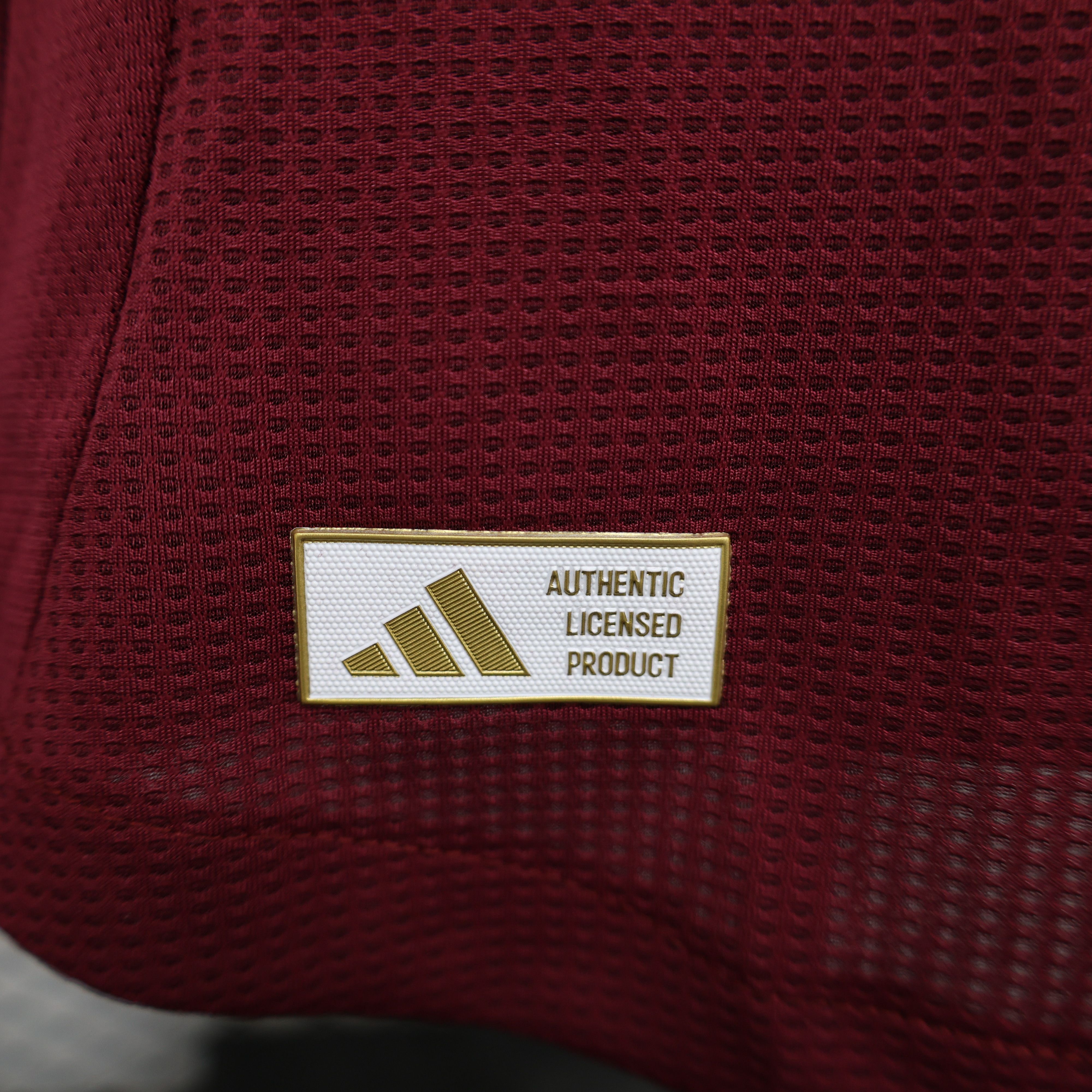 2024/2025 Aston Villa Home Football Jersey(Players Edition )