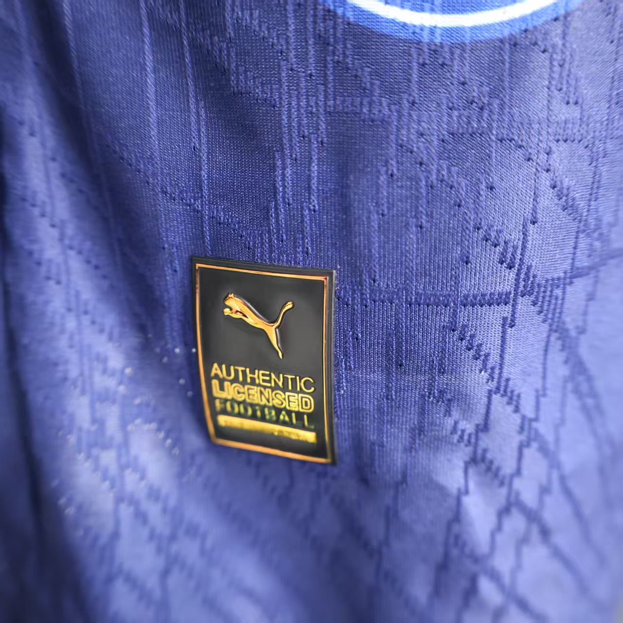 2025/2026 Zlatan Ibrahimović Player Commemorative Special Edition Player Edition Football Suit