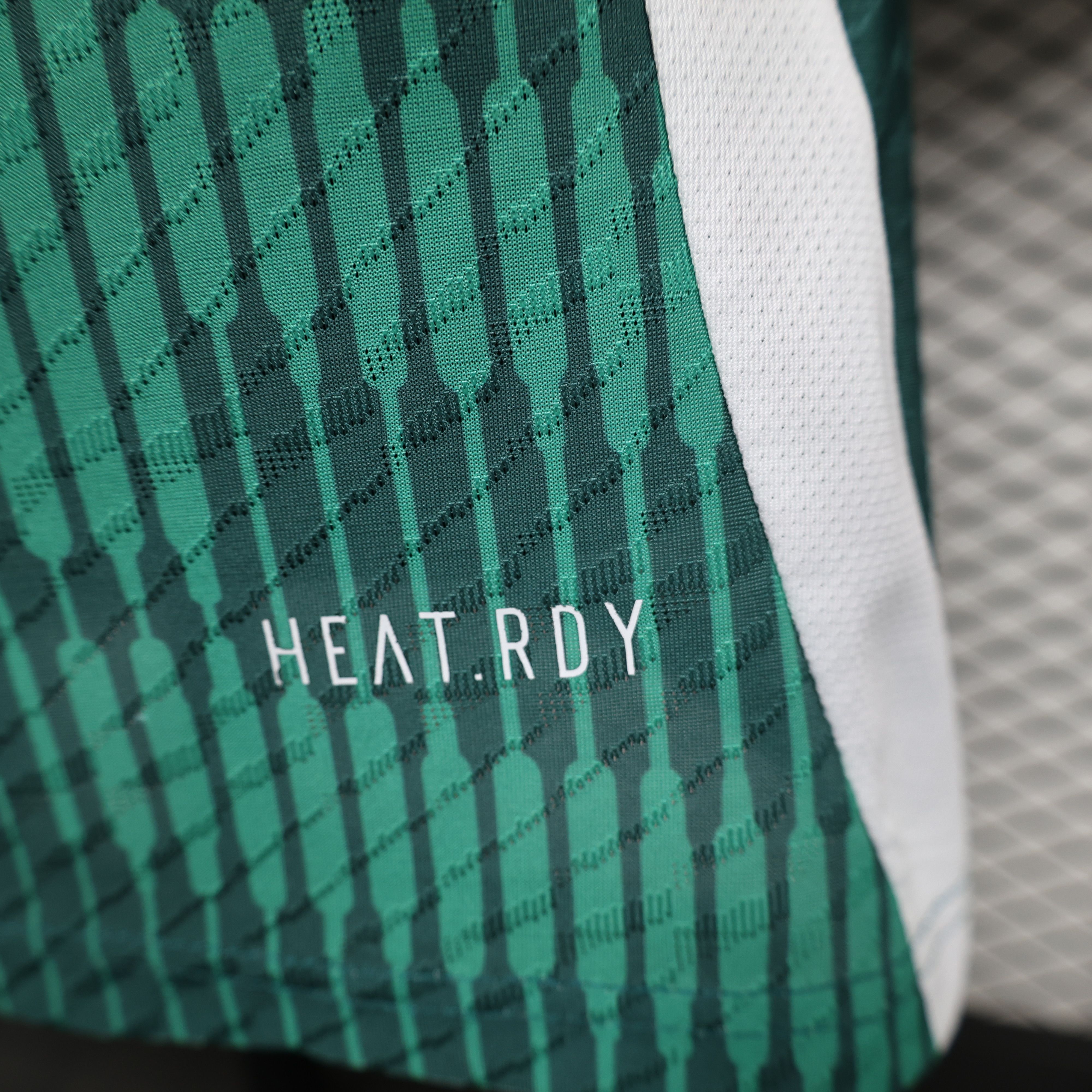 2024/2025 Italy Special Edition Football Jersey( Player Edition )