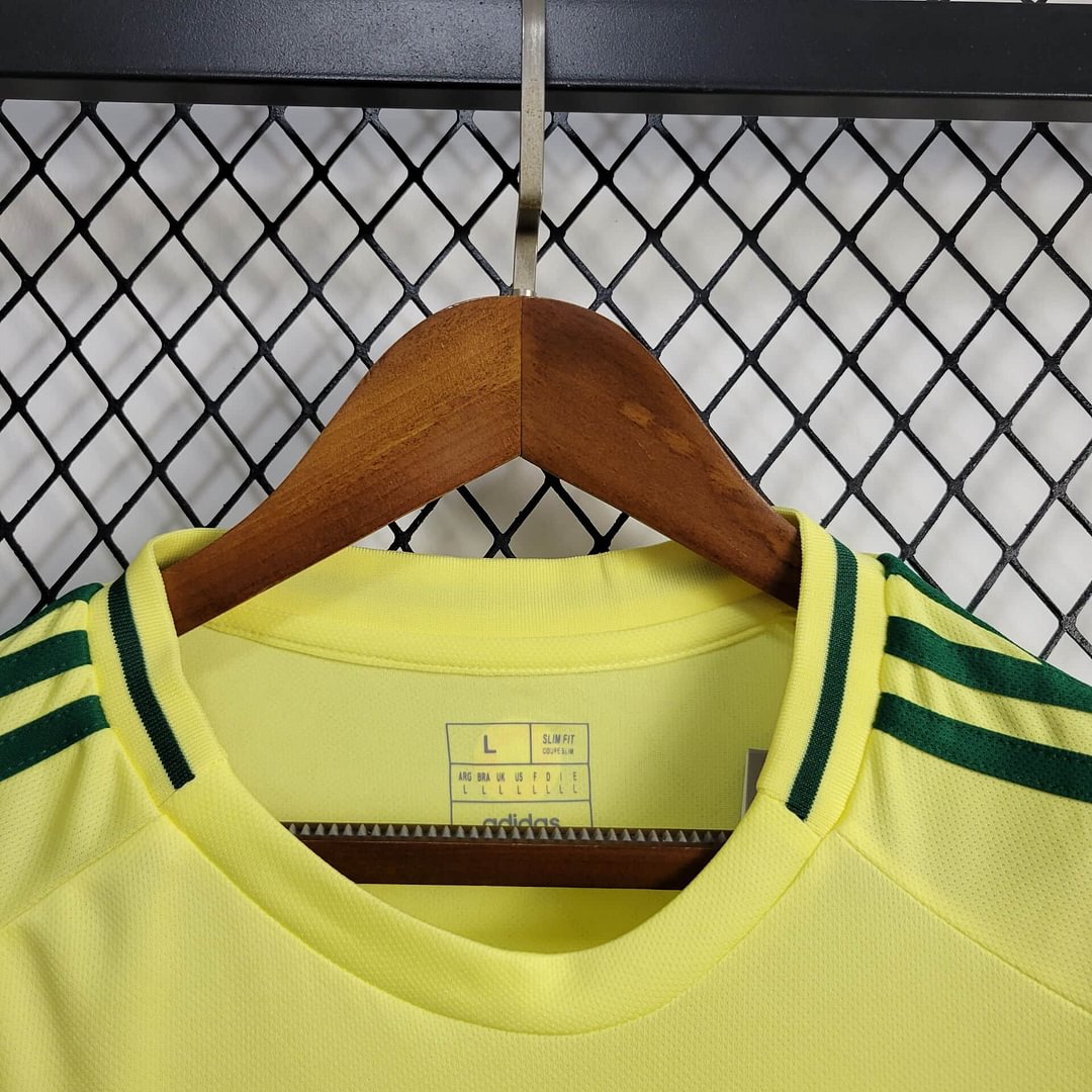 2024 Wales Away Football Shirt( Fans Edition )