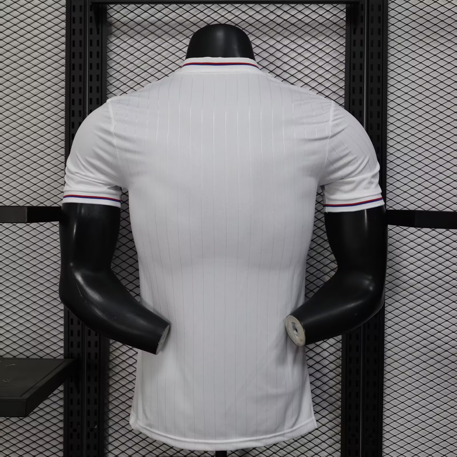 25/26 Lyonnais Special Edition Jersey( Player Edition )