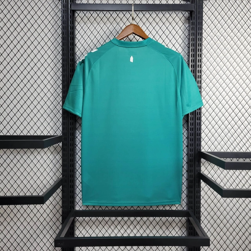 2024/2025 Everton Limited edition Football Shirt( Fans Edition )
