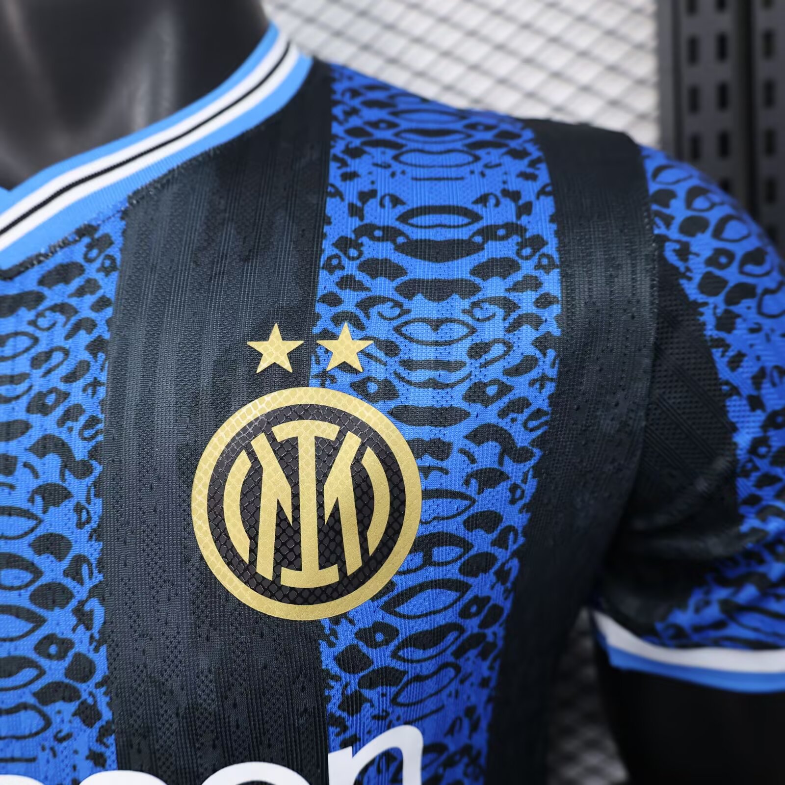 2025/2026 Inter Milan Special Jerseys (Player Version)