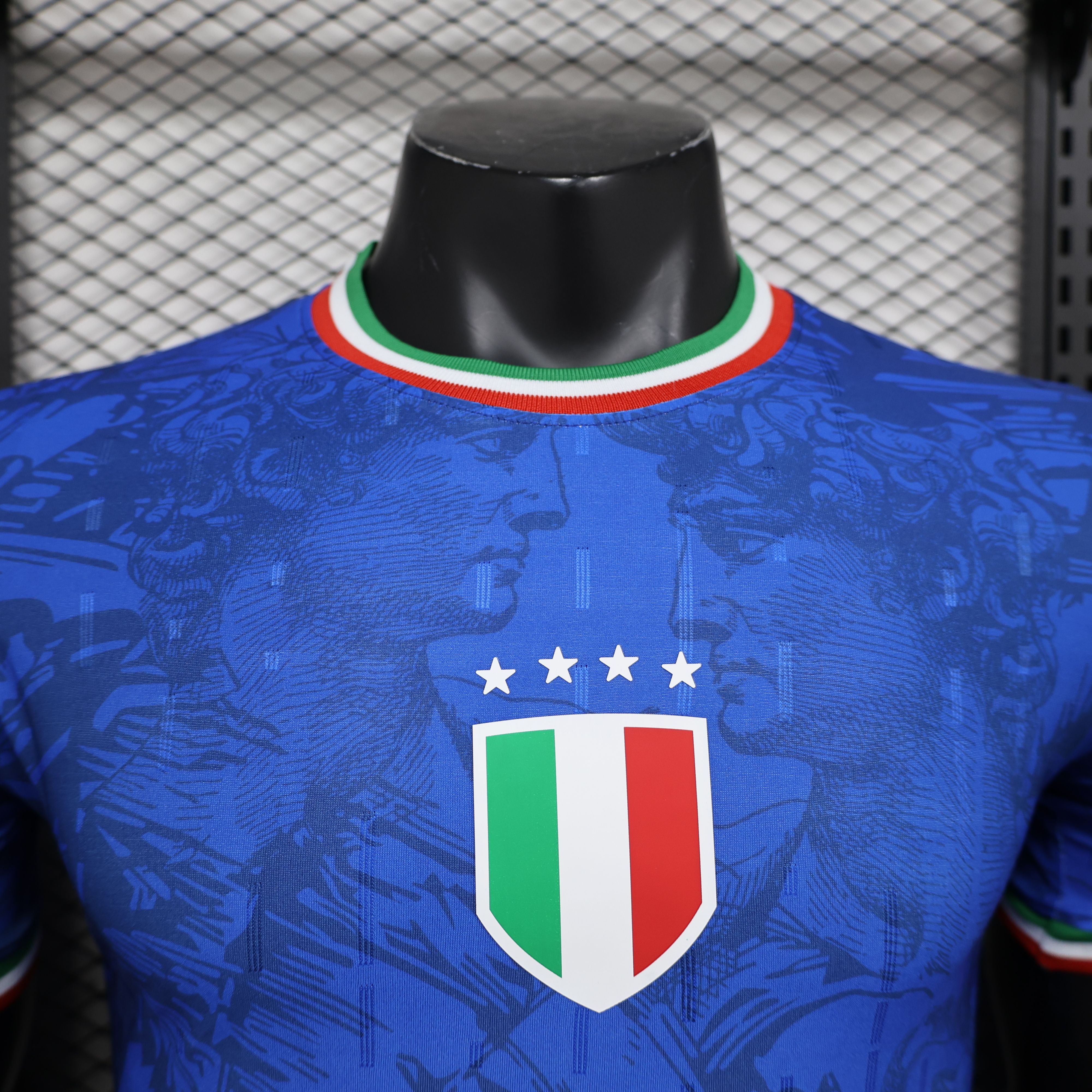 2024/2025 Italy Special Edition Football Jersey( Player Edition)