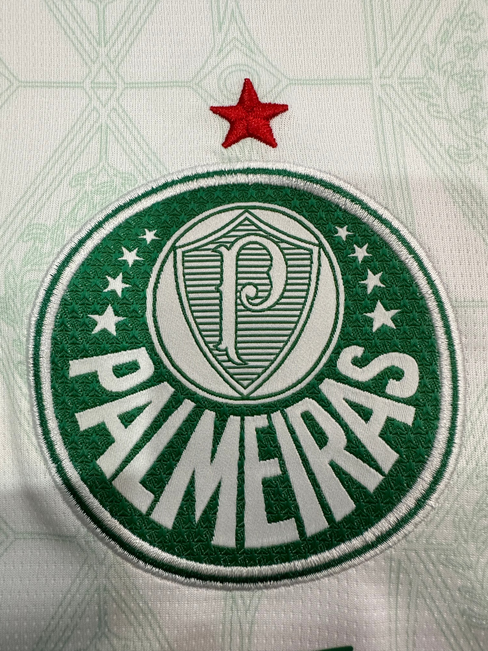 2025/2026 Palmeiras Away Football Shirt(Fans version)
