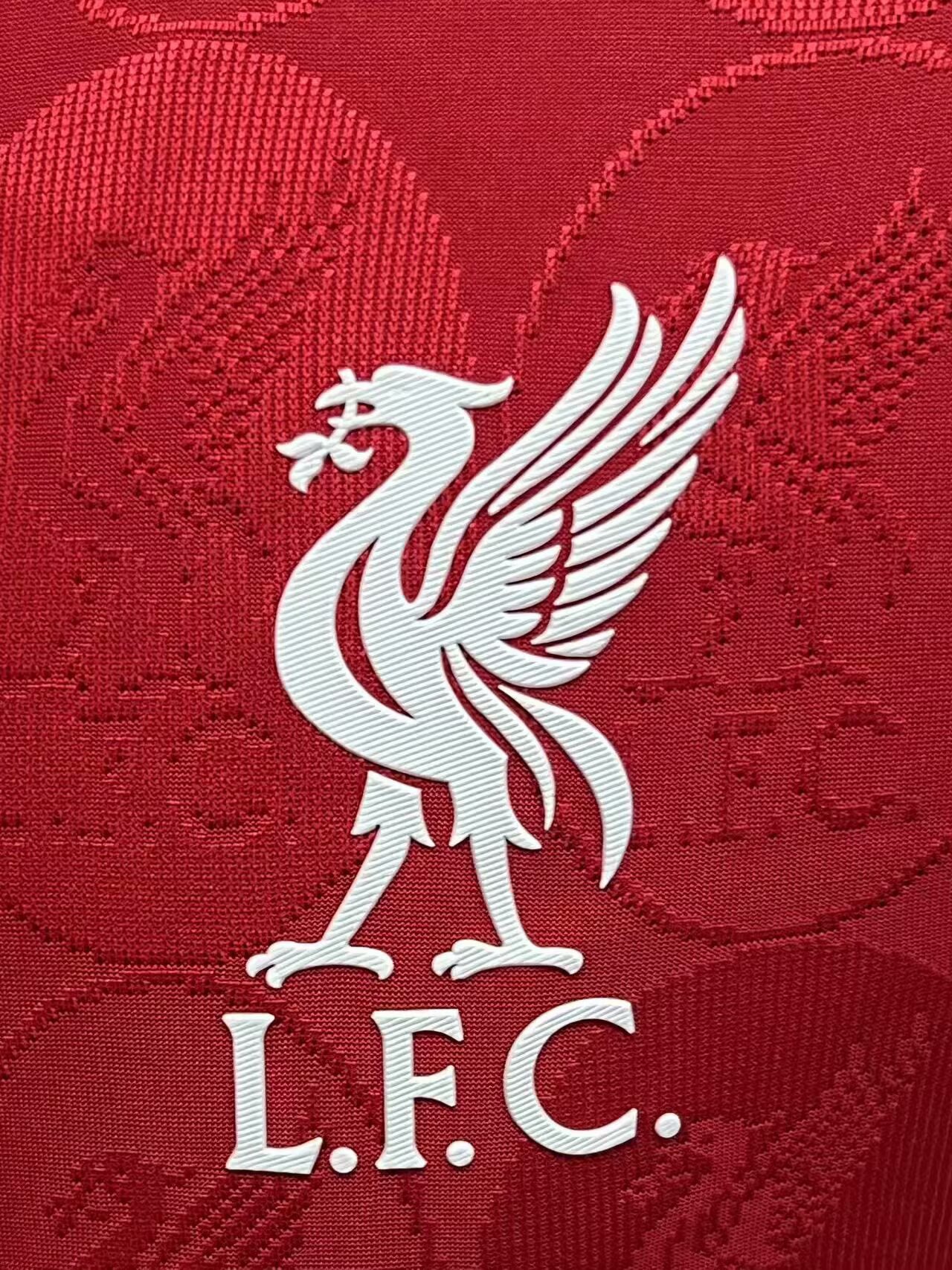 2025/2026 Liverpool Red Special Edition Jersey(Player version)