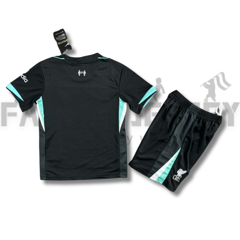 2024/2025 Liverpool Away Football Shirt(For Kids)