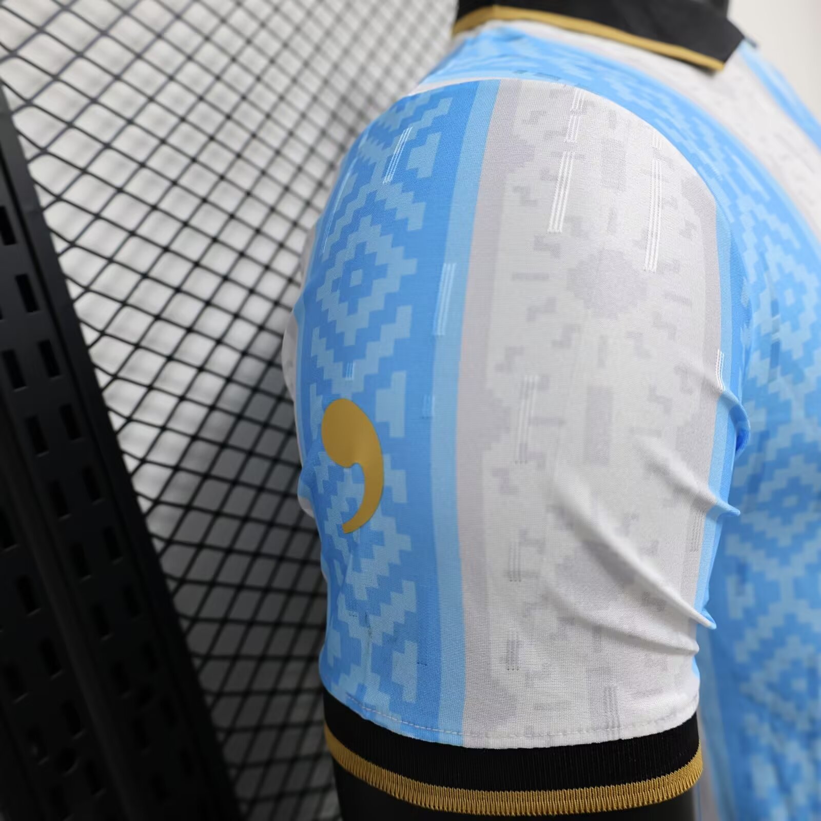 2024/2025 Argentina Special Edition Football Jersey
