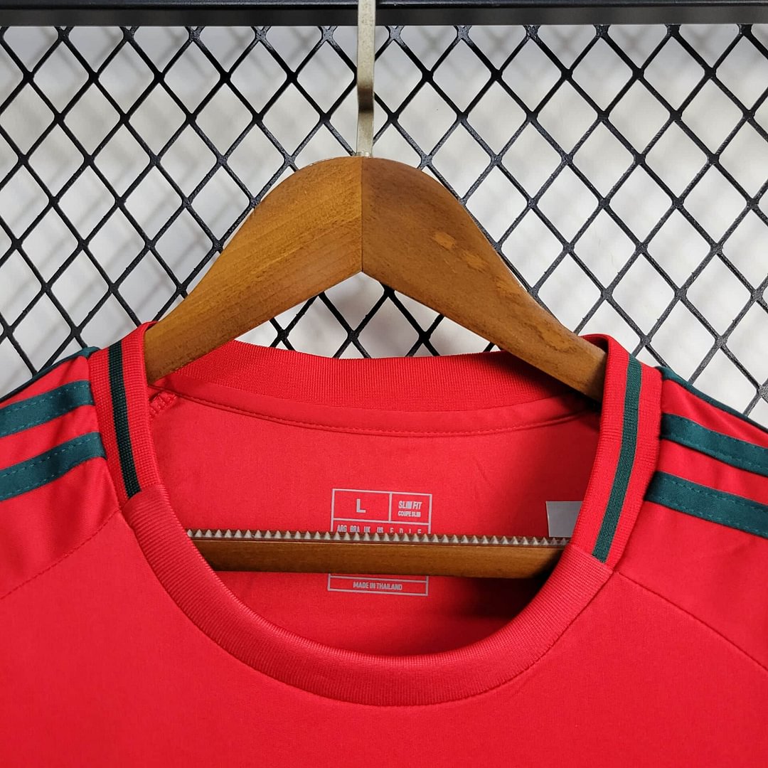 2024 Wales Home Football Shirt( Fans Edition )