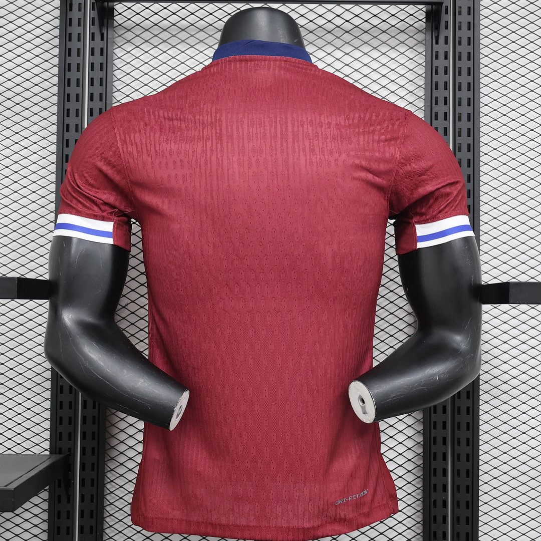 2024/2025 Norway Home Football Shirt( Player Version)