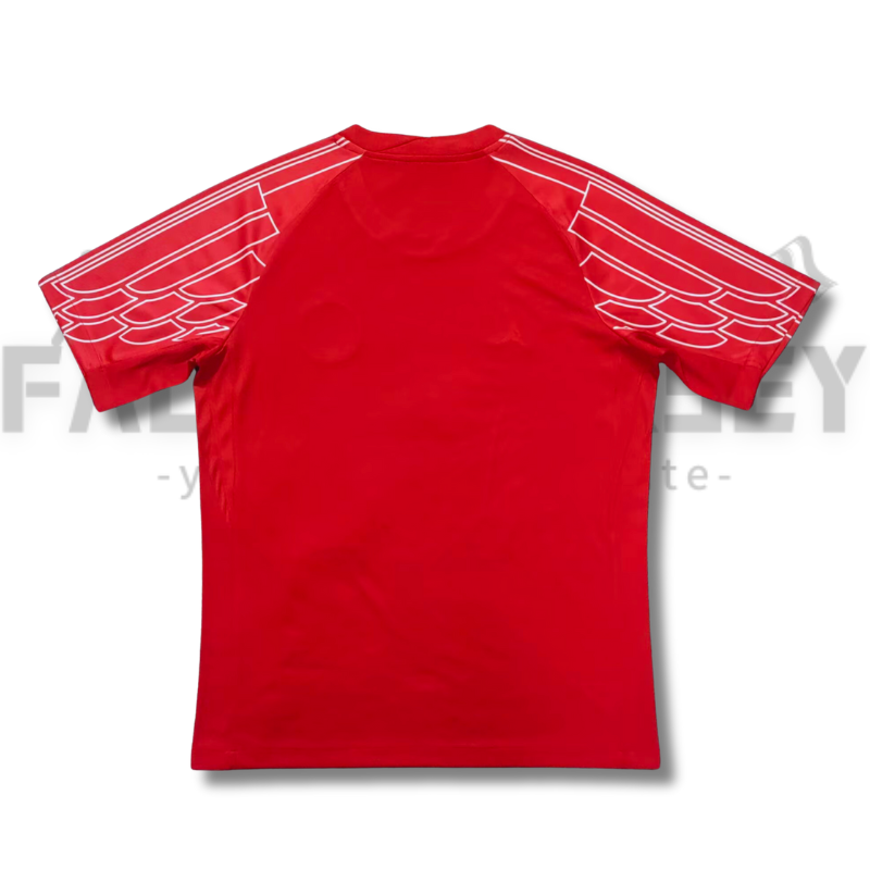 25/26 Paris Saint-Germain Red Special Jersey(Fans version)