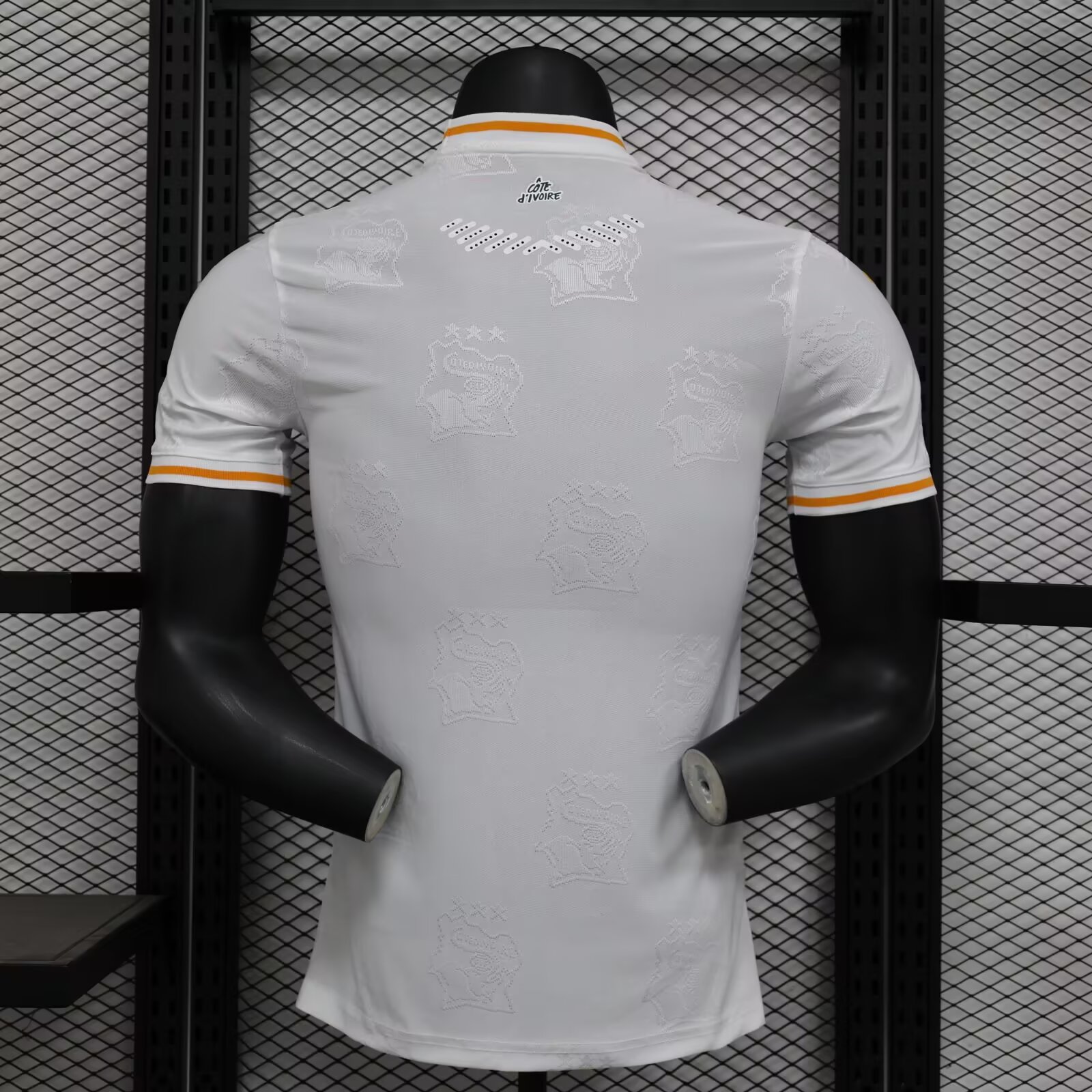 2025/2026 Ivory Coast White Special Edition Football Shirt( Player Edition )