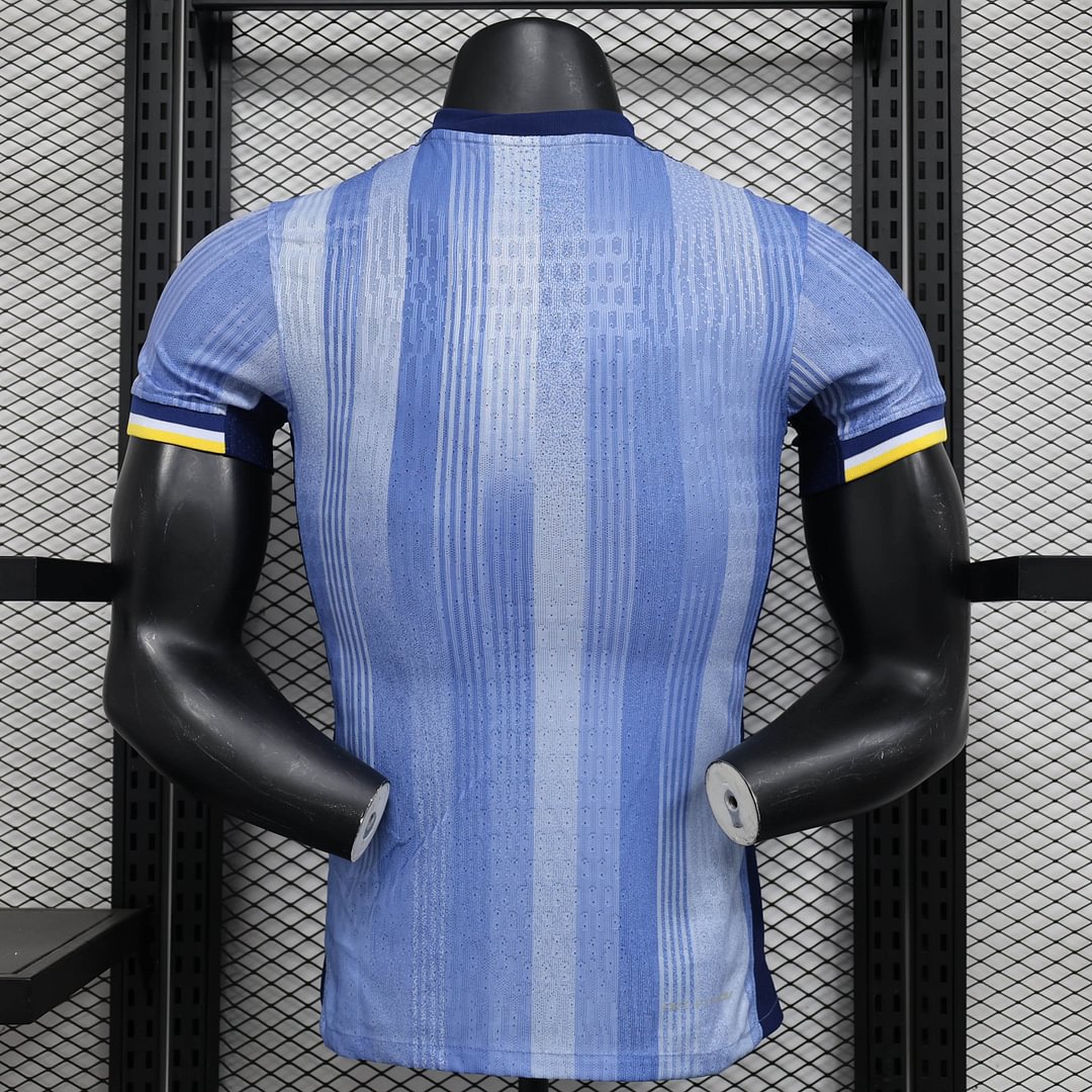 2024/2025 Tottenham Hotspur Away Football Shirt(Player Version )