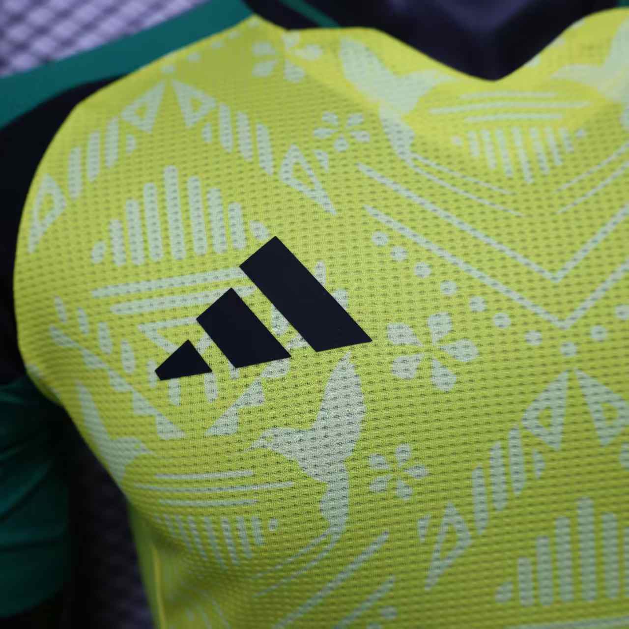 2024/2025 Jamaica Home Football Jersey( Player Edition)