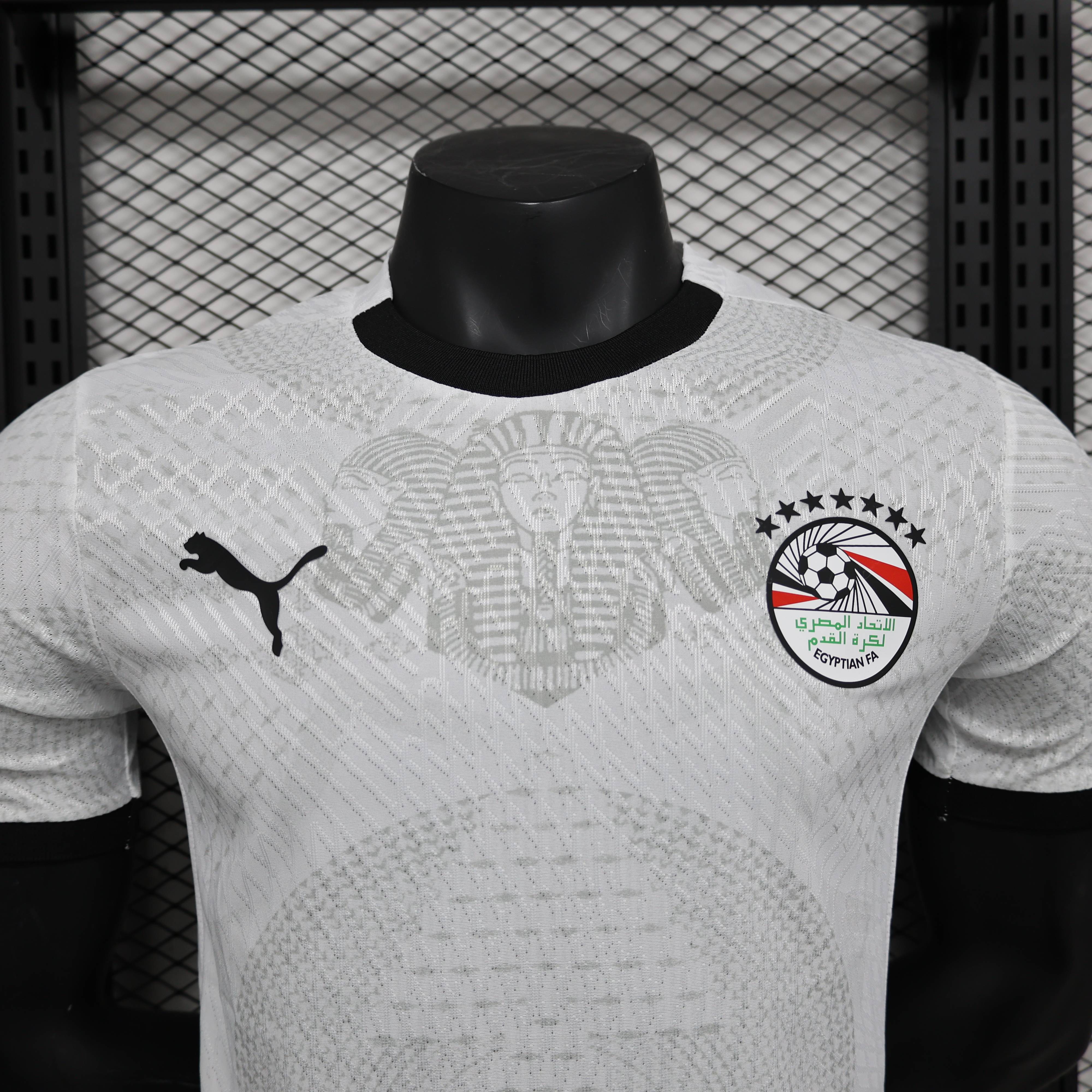 2024/2025 Egypt Away Football Jersey( Player Edition )