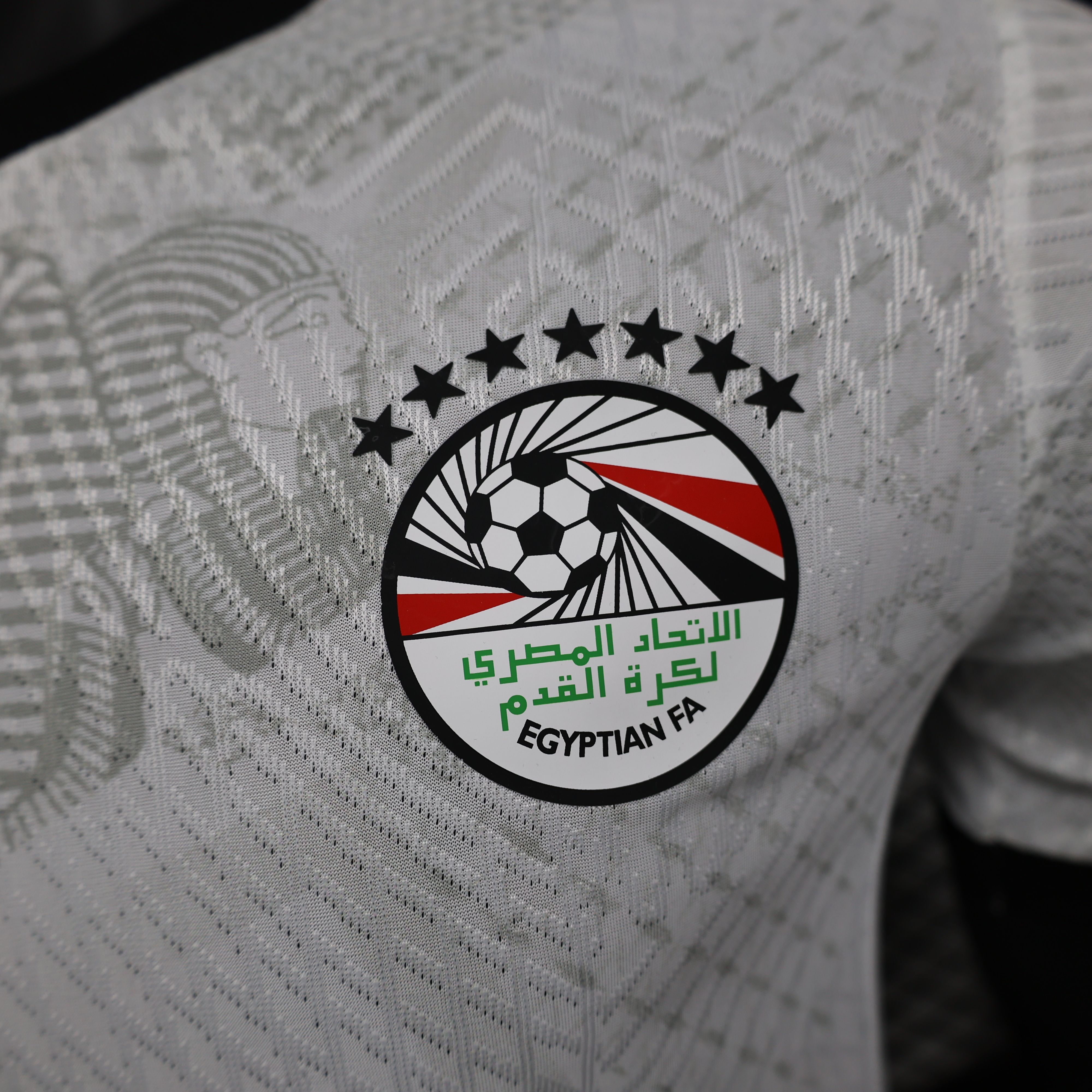 2024/2025 Egypt Away Football Jersey( Player Edition )