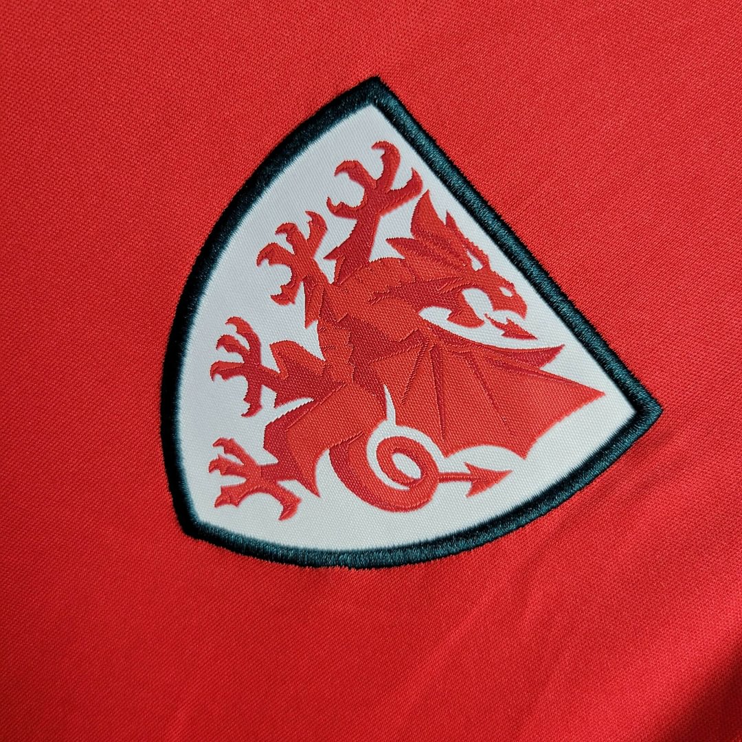 2024 Wales Home Football Shirt( Fans Edition )