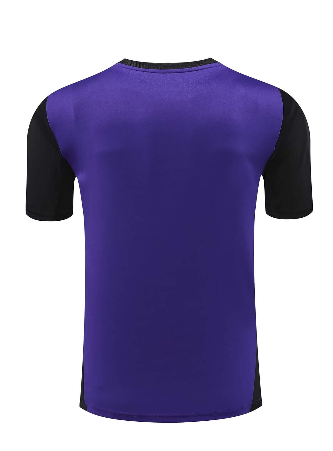 2024/2025 Germany Training Wear Purple Suit Shirt