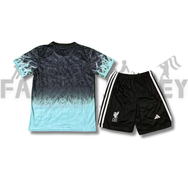2025/2026 Liverpool Special Version Football Shirt(For Kids)