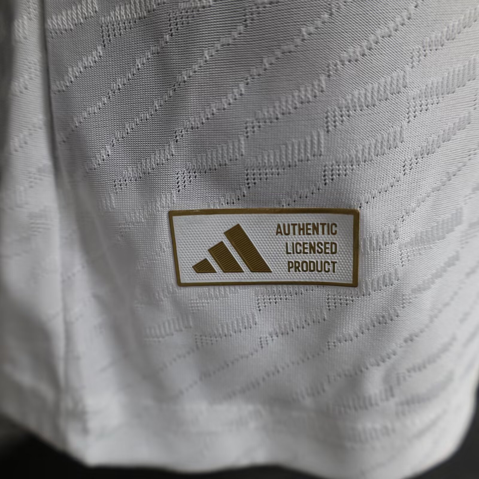 2024/2025 Players Edition Japan Special Edition Football Jersey