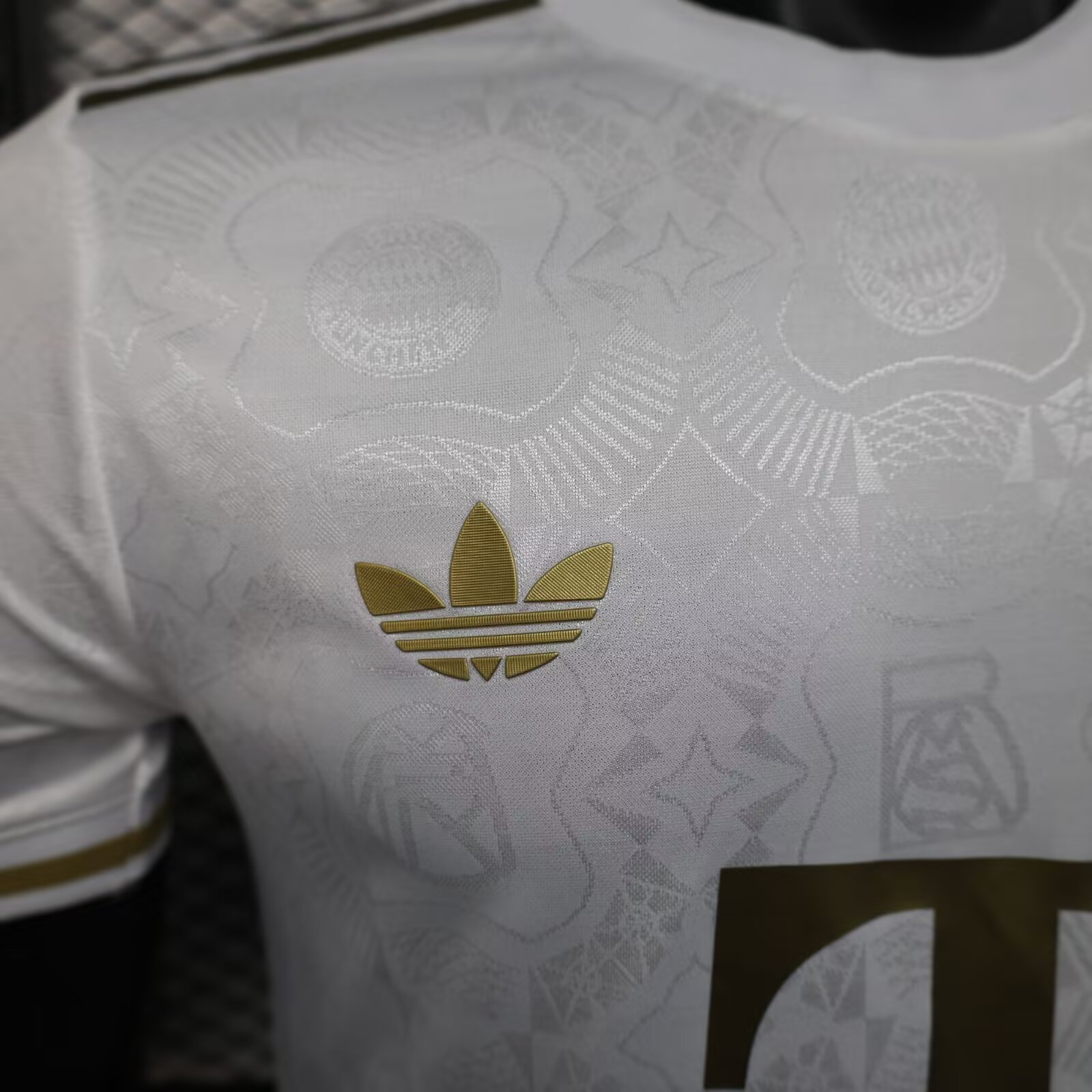 25/26 Bayern Munchen 125th Anniversary Jersey(Player Version)