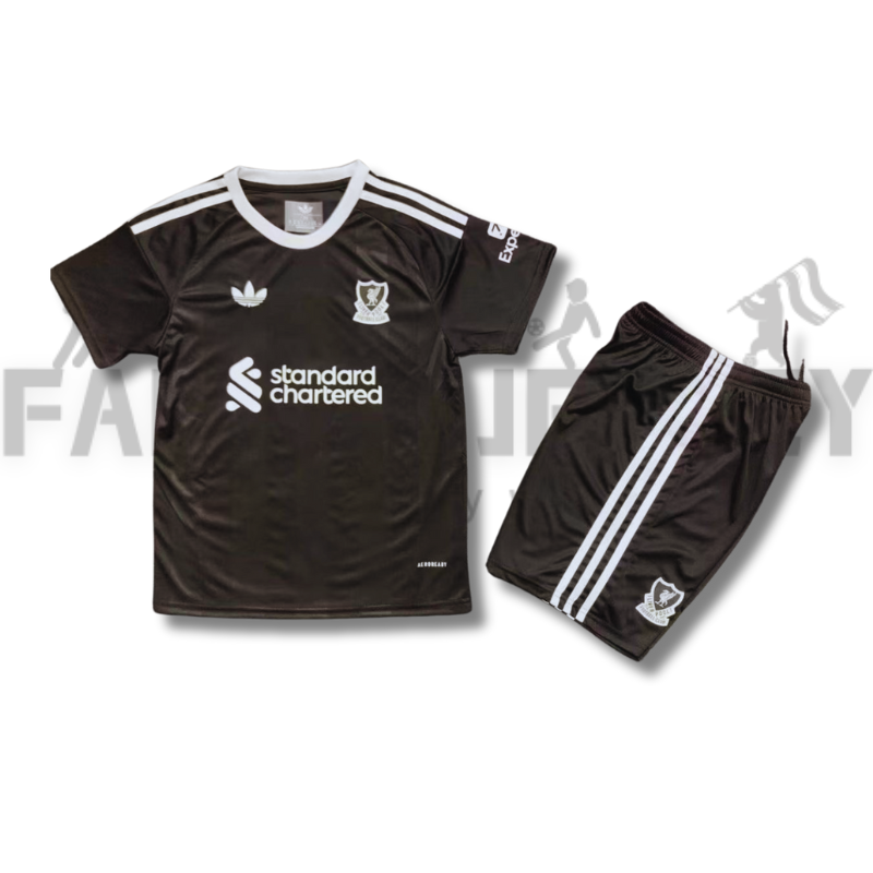 2025/2026 Liverpool Goalkeeper Football Shirt(For Kids)