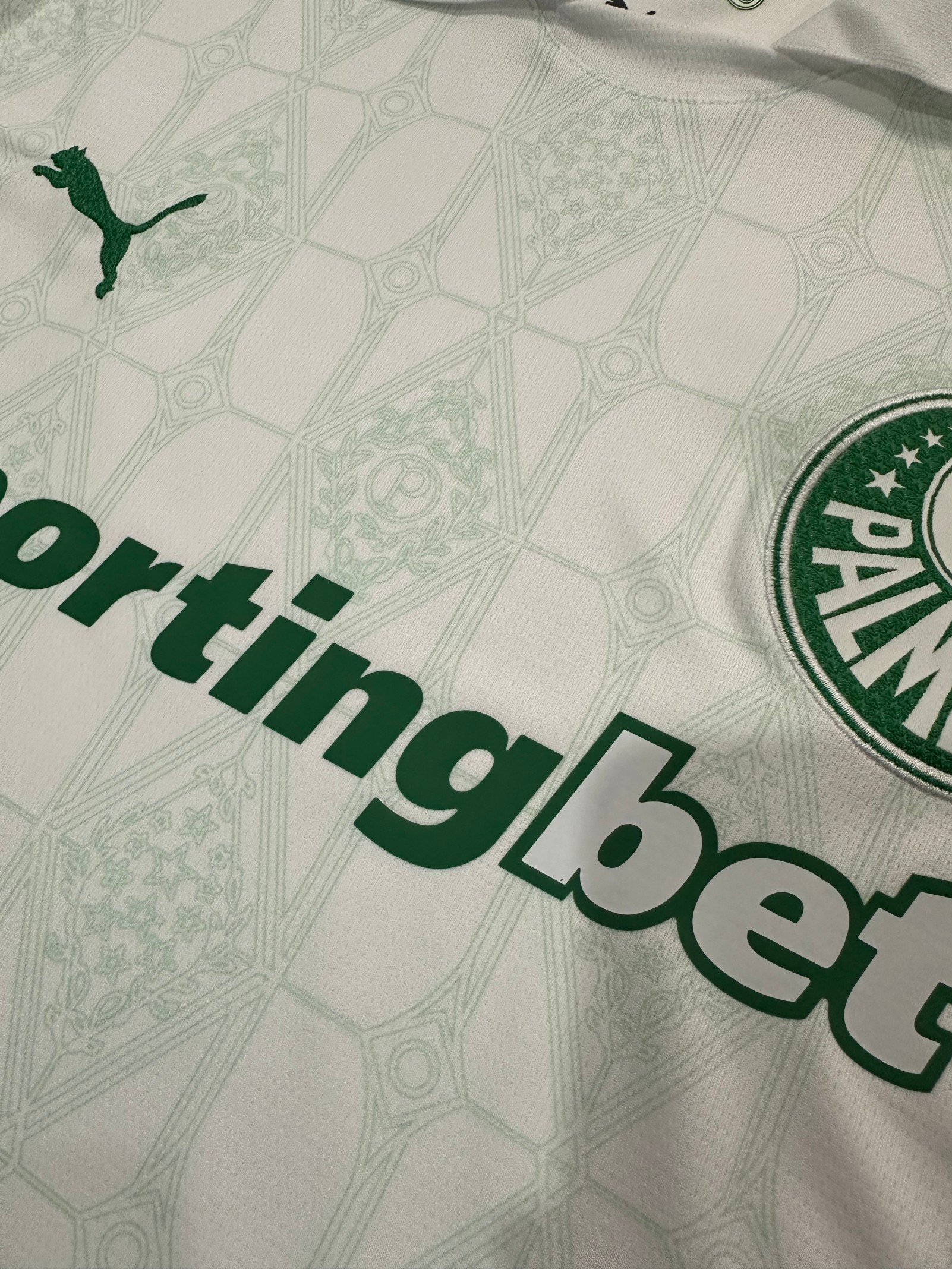 2025/2026 Palmeiras Away Football Shirt(Fans version)