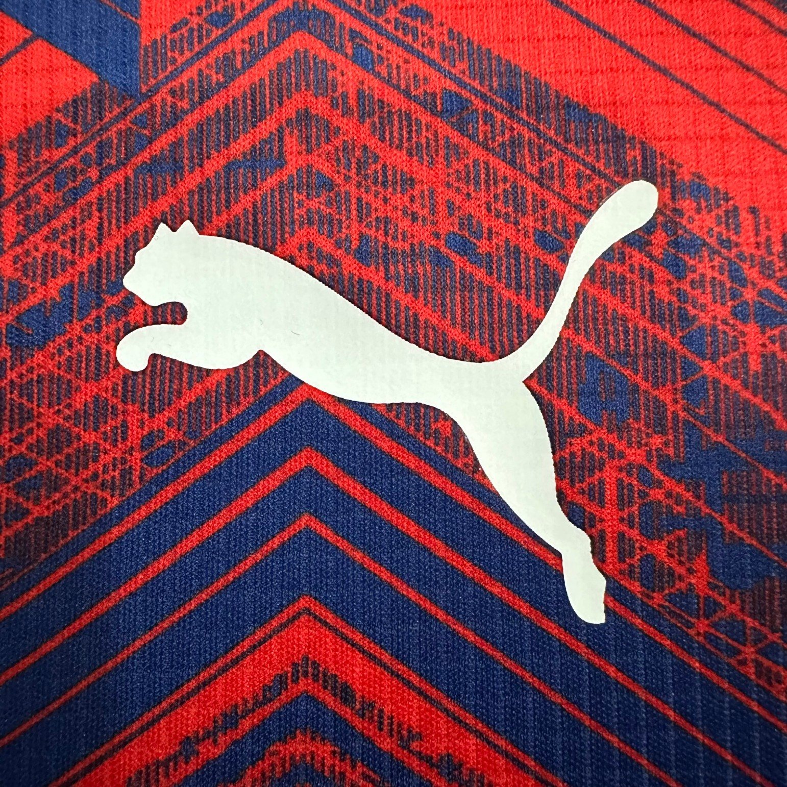 25/26 RB Leipzig Training Football Shirt(Fans Edition )