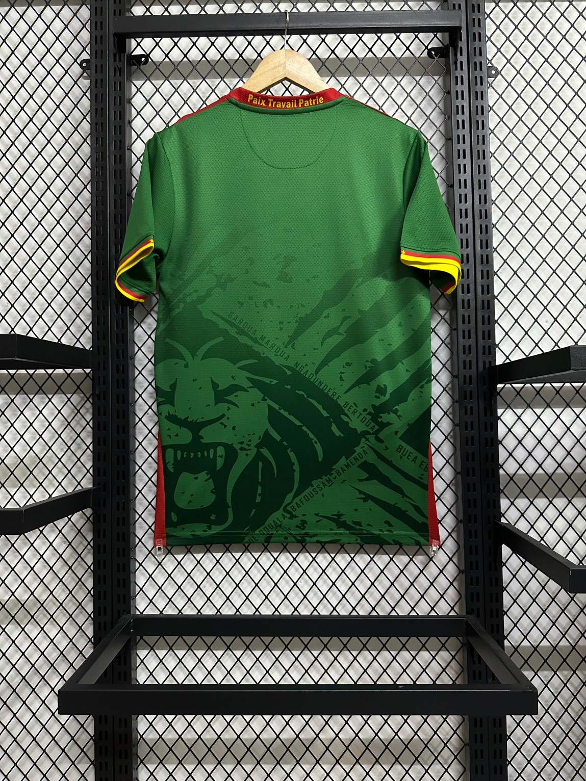 2025/2026 Cameroon Home Football Shirt( Fans Edition )