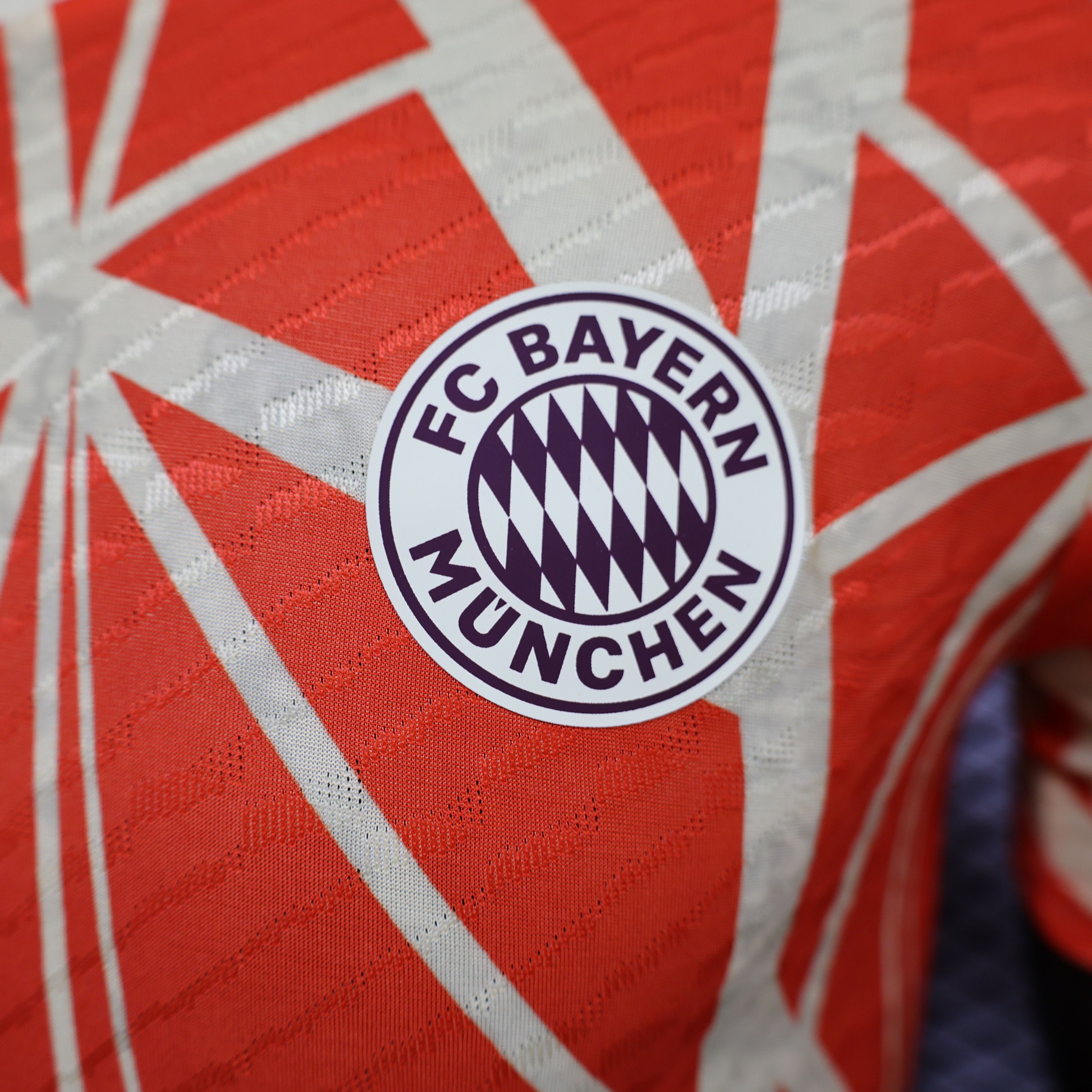 2024/2025 Bayern Special Edition Football Jersey For Player Version