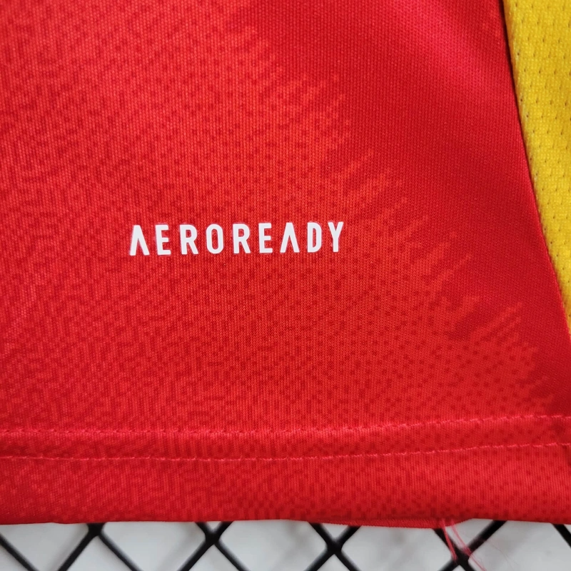 2024 Spain Home Football Shirt ( Fans Edition )