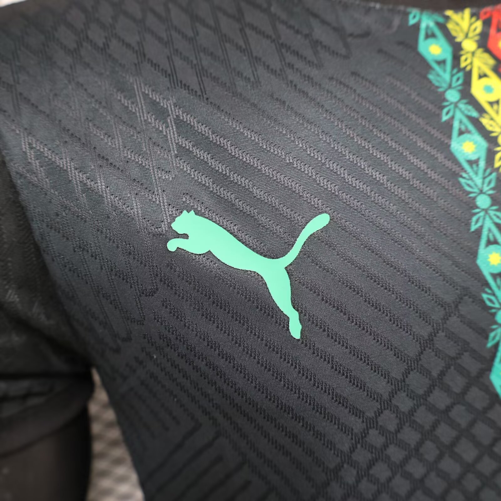 2024/2025 Senegal Black Special Edition Football Shirt( Player version)