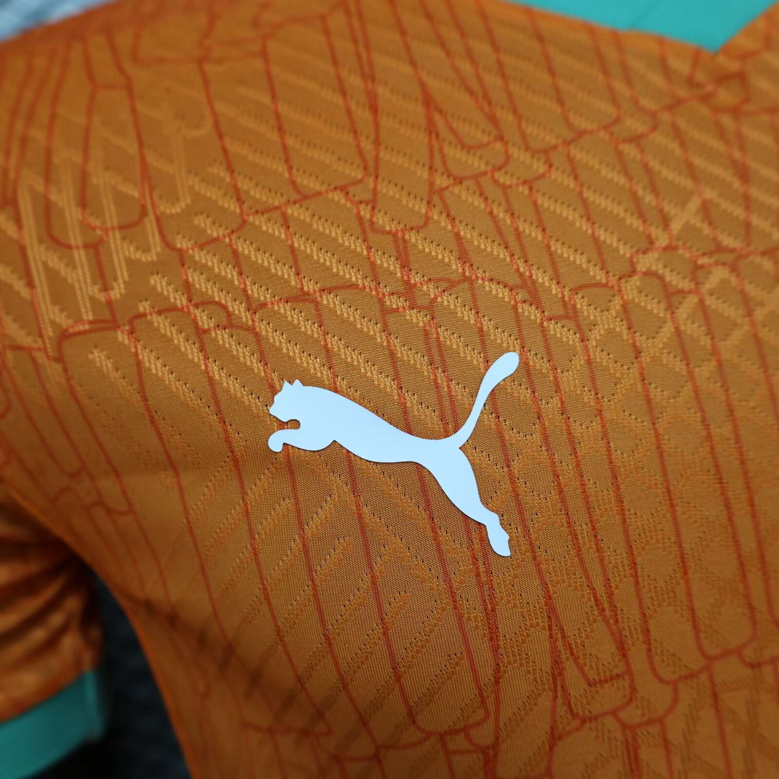 2025/2026 Ivory Coast Home Football Shirt For Player Version