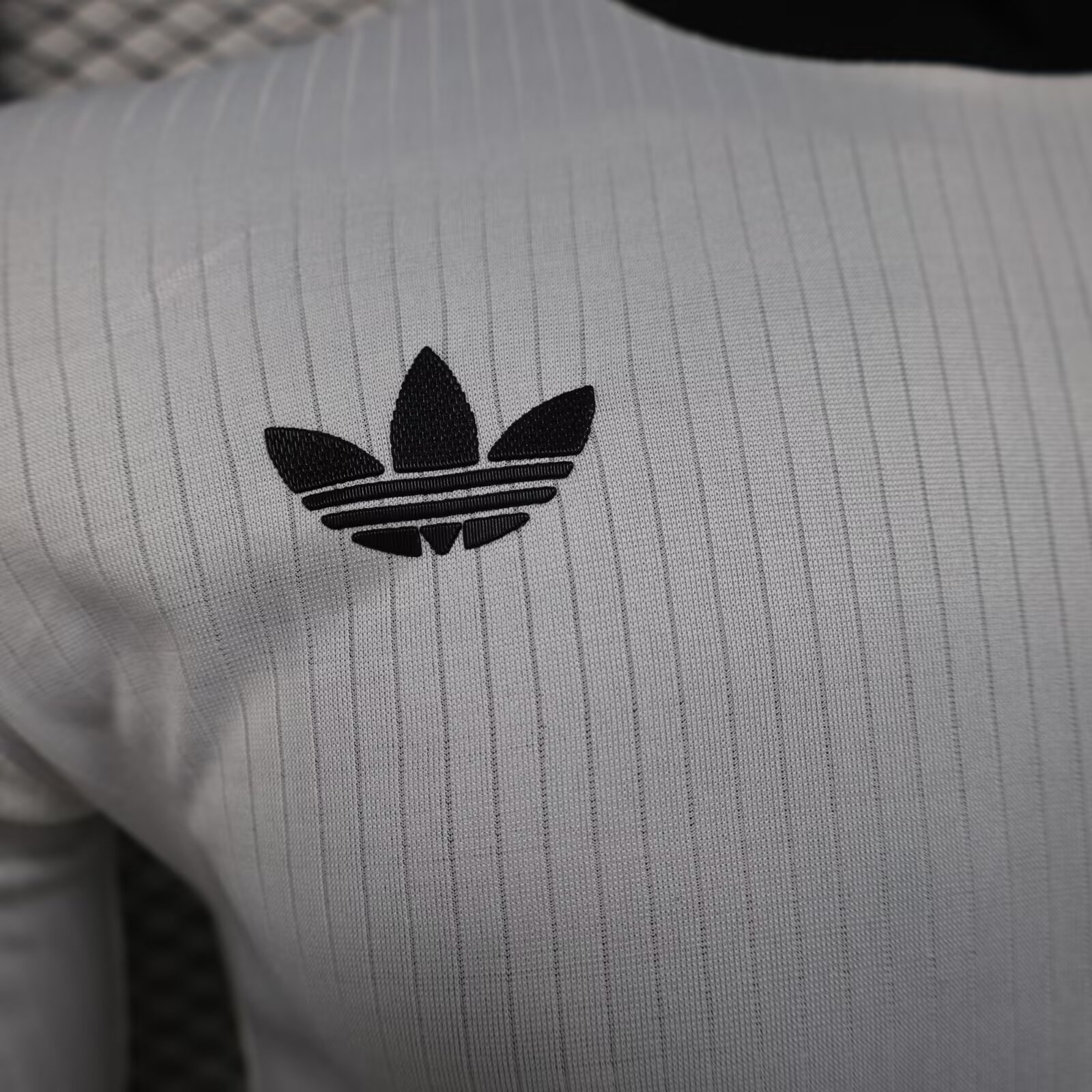 25/26 Germany 125th Anniversary White Long Sleeves Jersey( Player Edition )