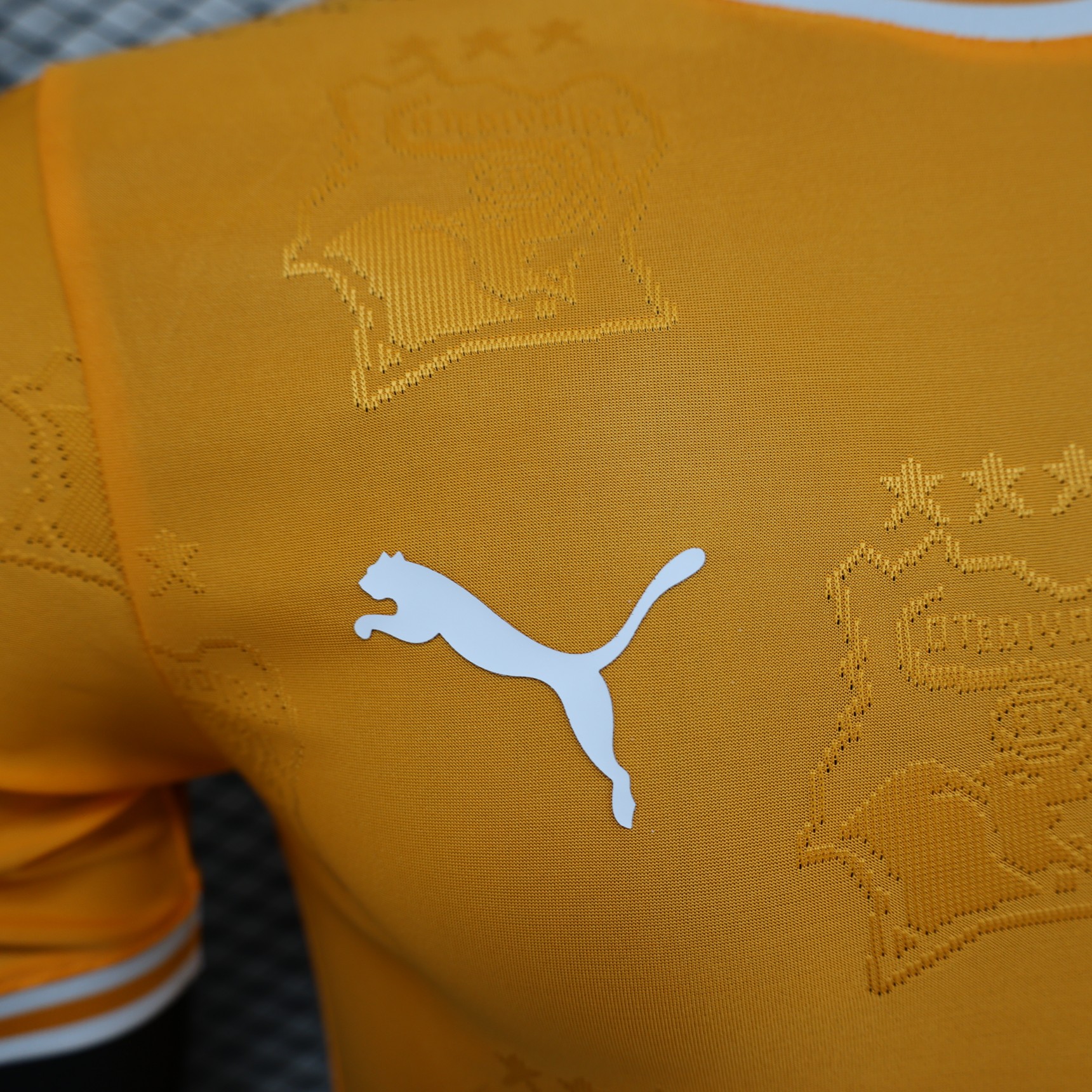 2025/2026 Ivory Coast Special Edition Football Shirt( Player Edition )