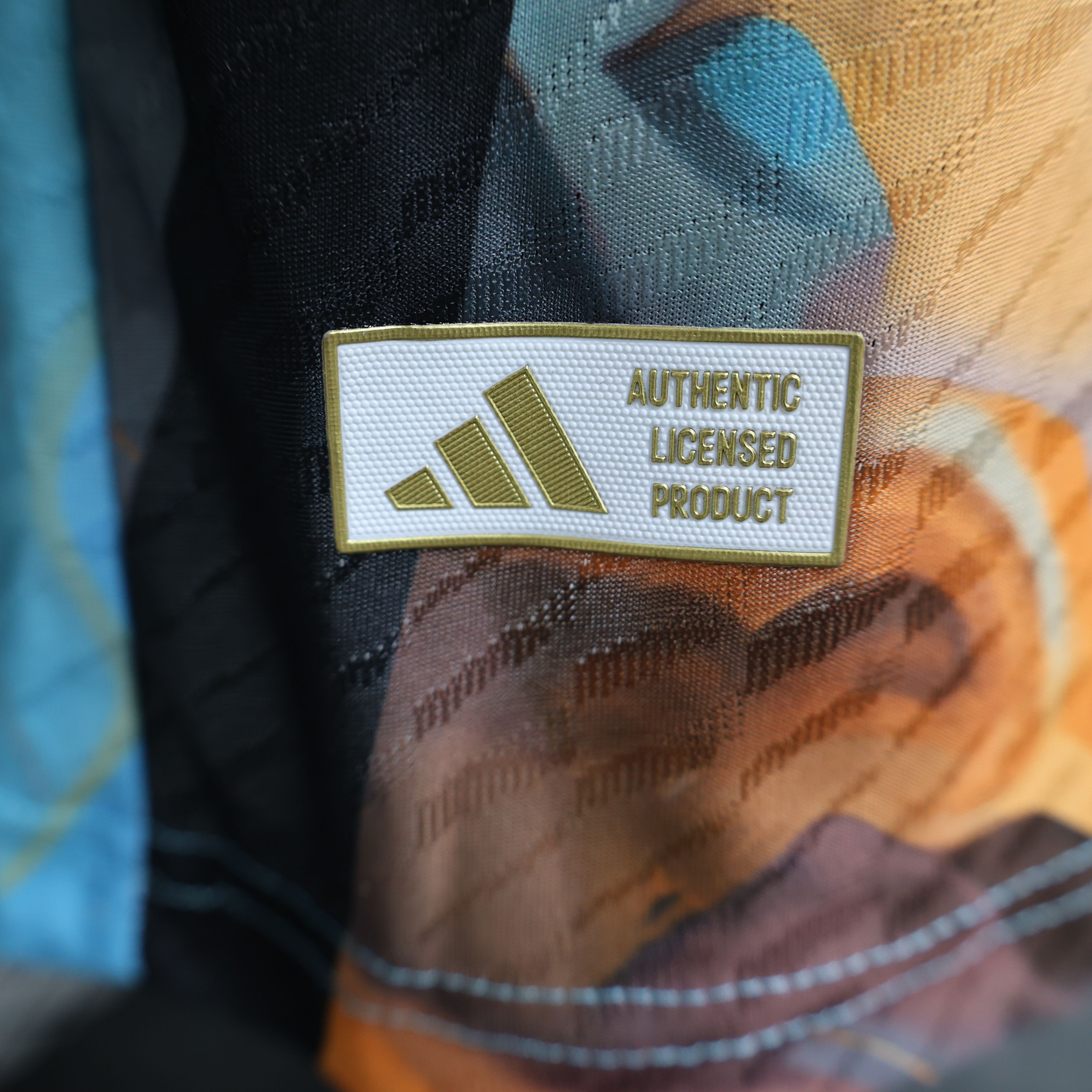 2024/2025 Players Edition Argentina Special Edition Football Jersey