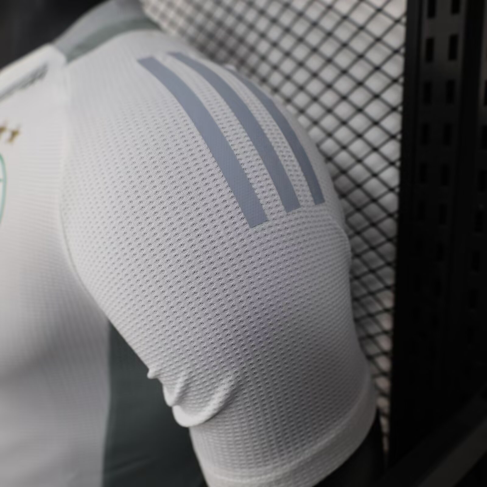 2025/2026 Algeria White Jersey(Player Edition)