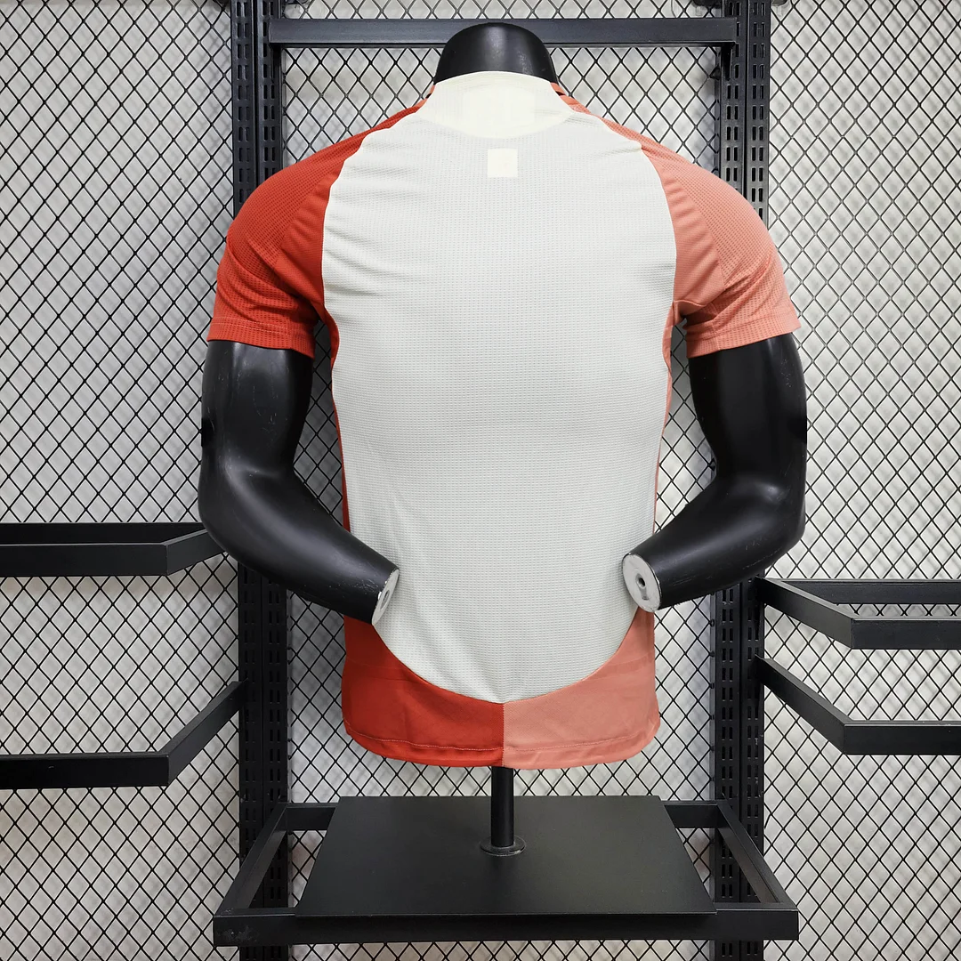2024/2025 Lyonnais Third Away Football Shirt( Player Version )