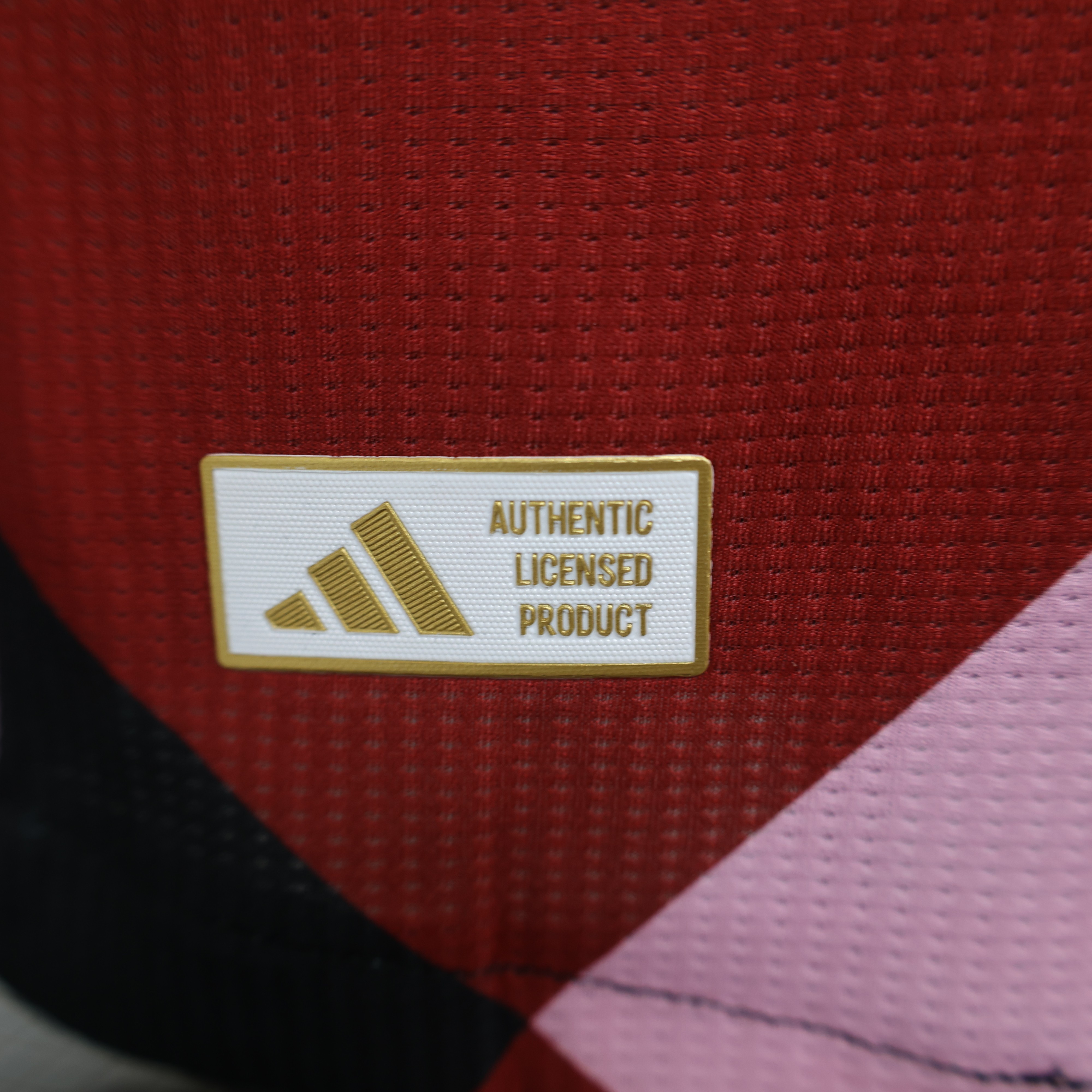 2024/2025 FC Bayern Training Jersey Football Jersey For Player Version