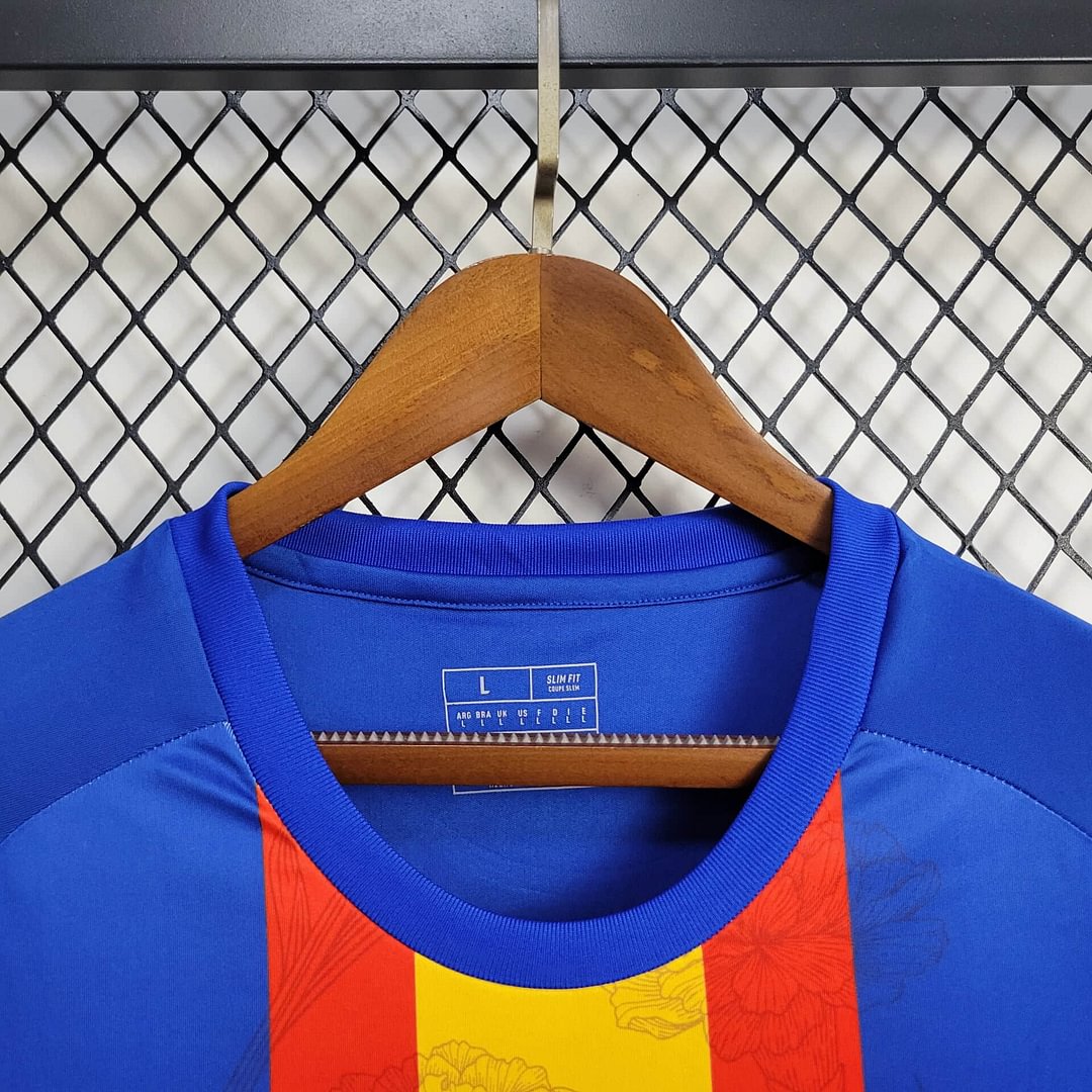 2024 Spain Training Wear Football Shirt