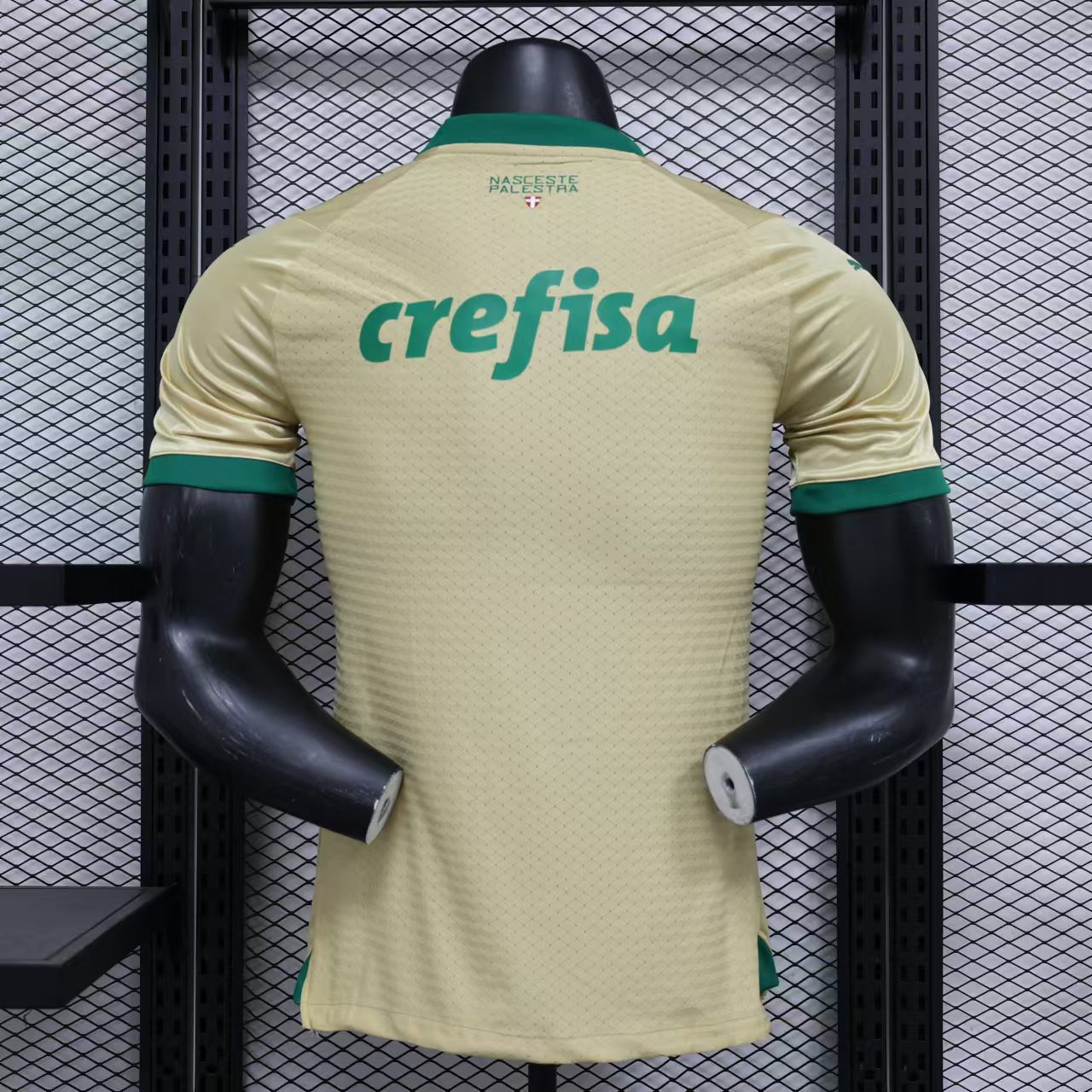 2024/2025 Palmeiras Anniversary Edition Jersey(Player Edition)
