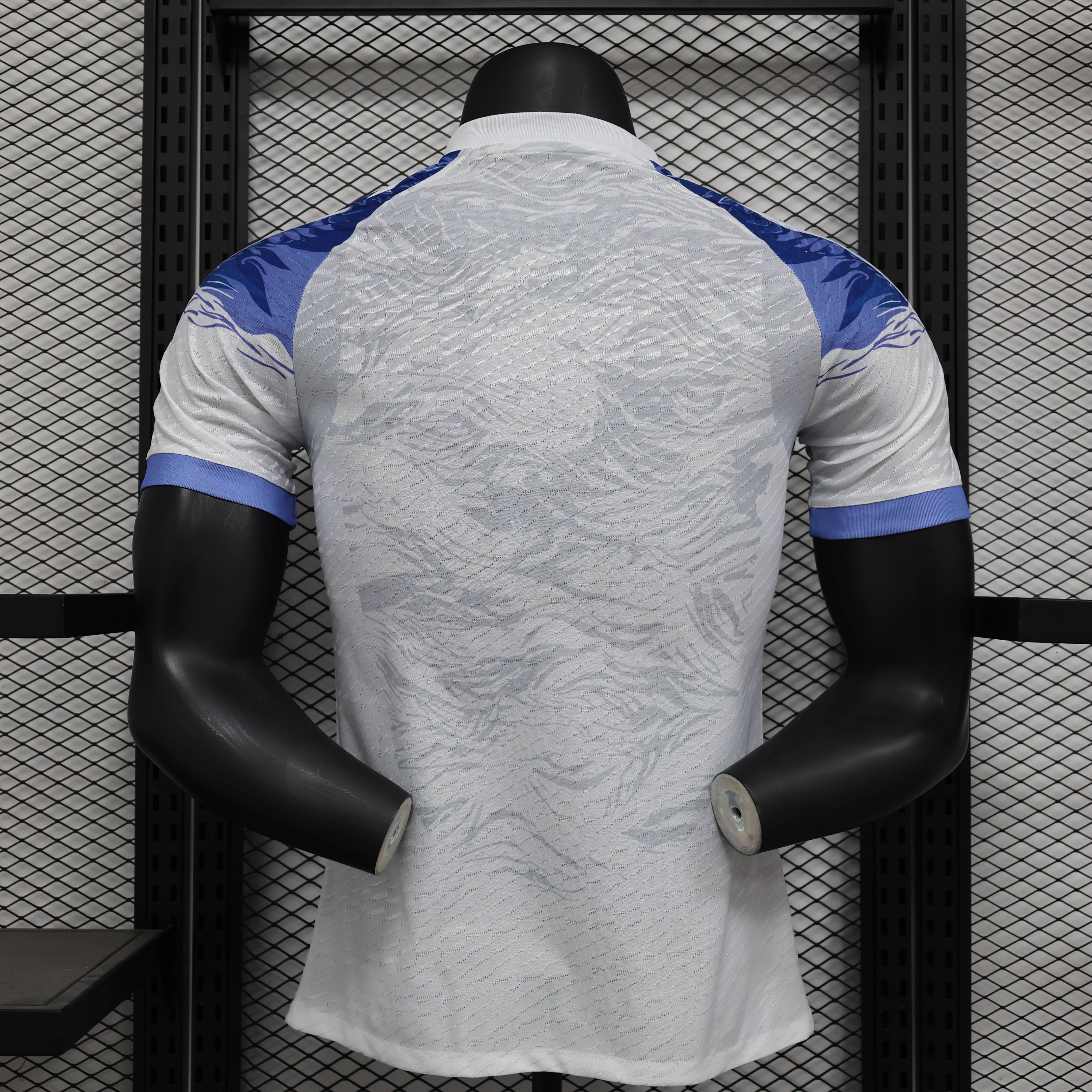 2024/2025 Japan Blue Dragons Special Edition Football Jersey for Players Edition