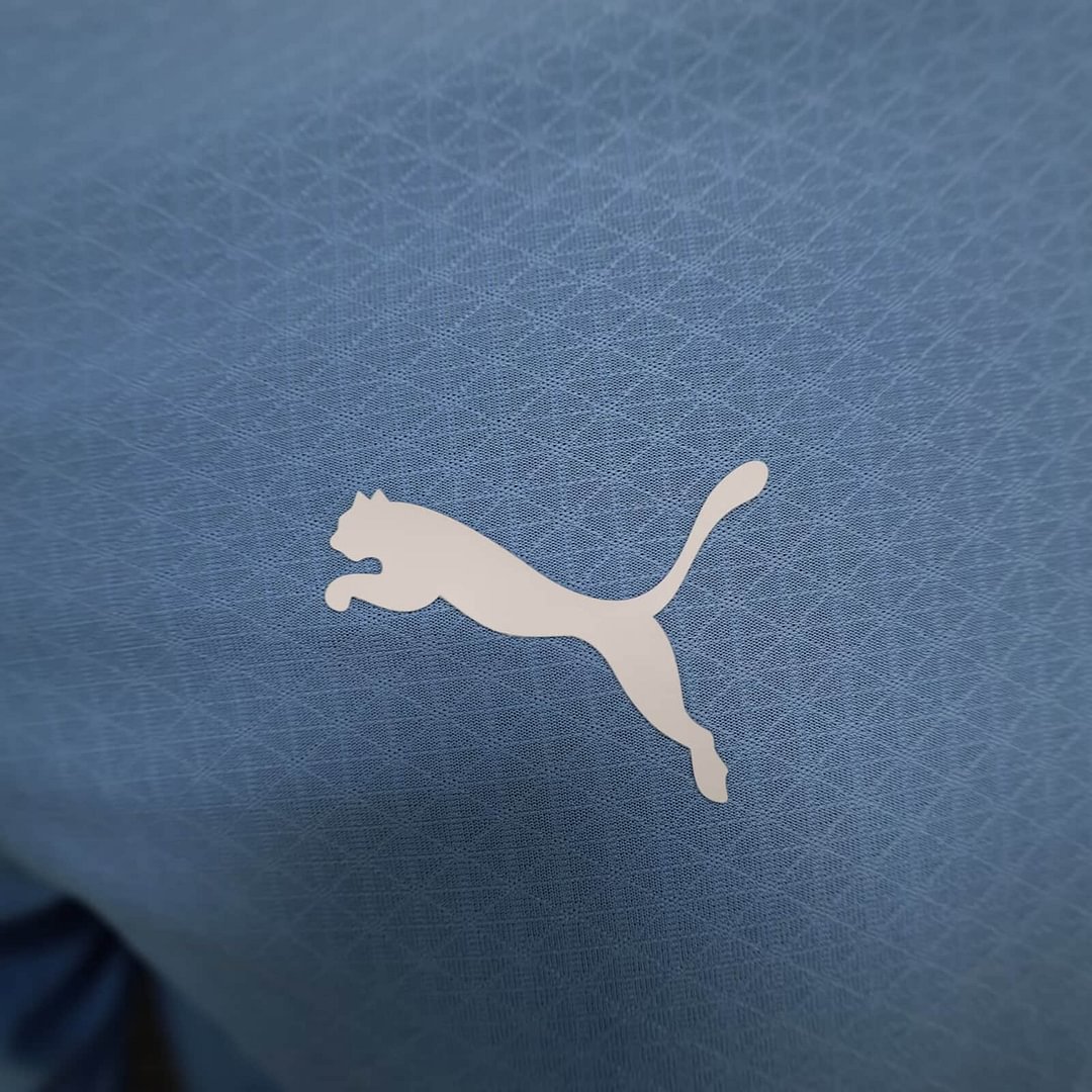 2024/2025 Manchester City Long Sleeve Home Football Shirt For Player Version