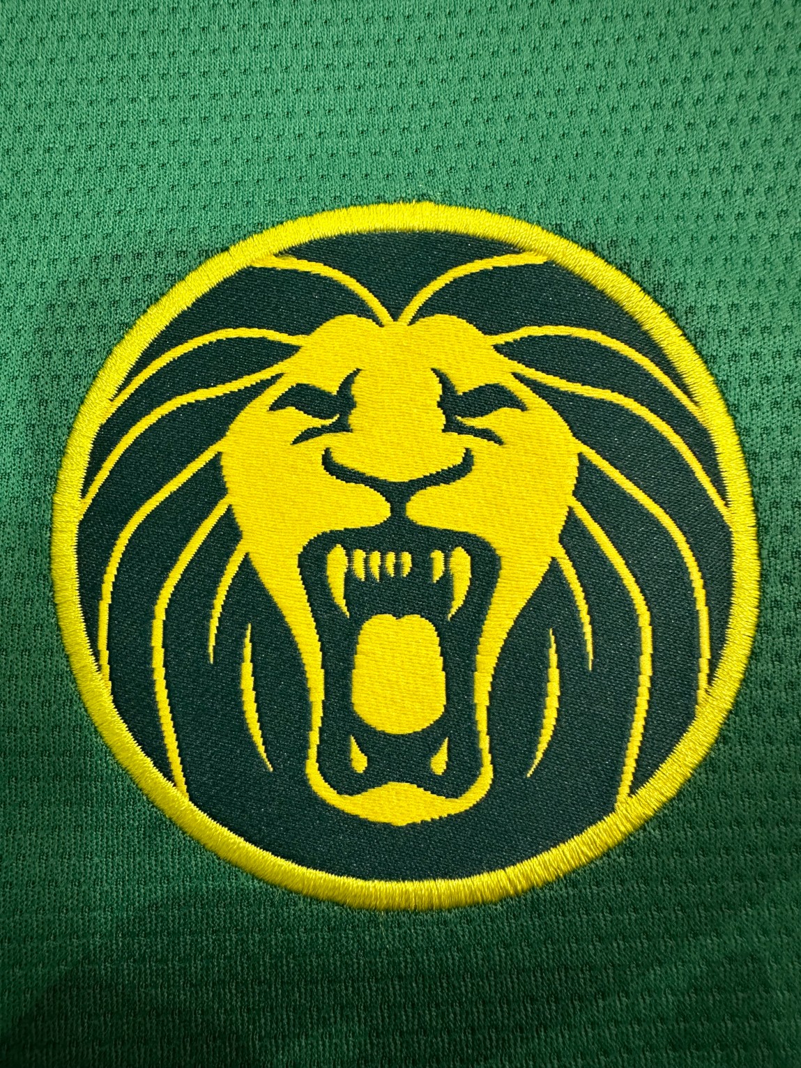 2025/2026 Cameroon Home Football Shirt( Fans Edition )