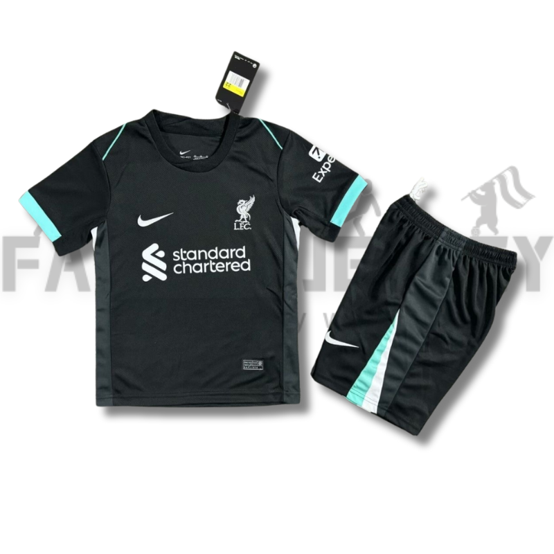2024/2025 Liverpool Away Football Shirt(For Kids)