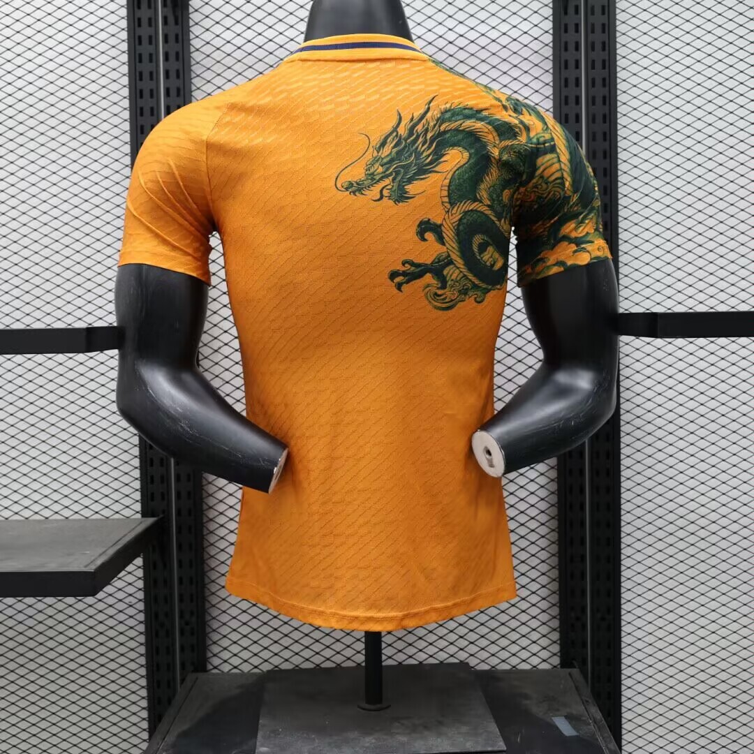 2024/2025 Players Edition Japan Special Edition Football Jersey