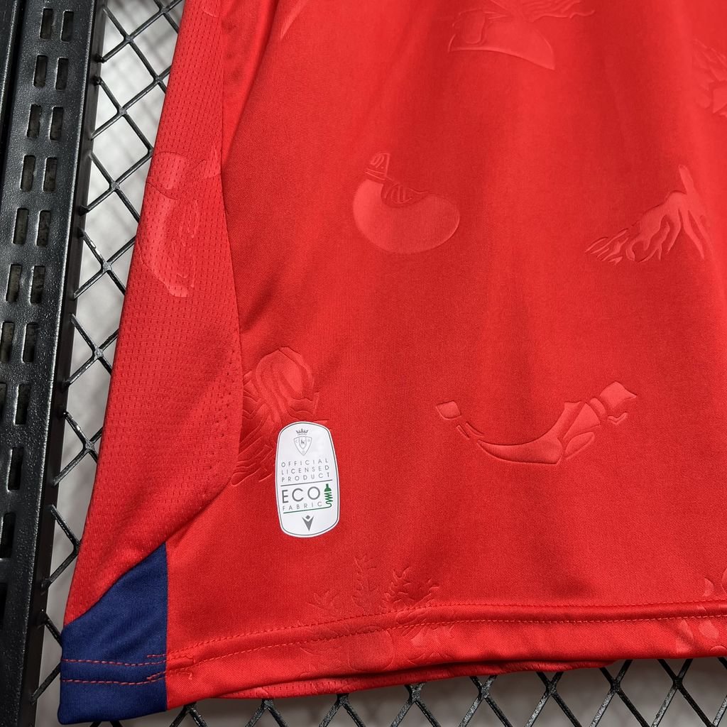 2024/2025 Osasuna Home Football Shirt( Fans Edition )