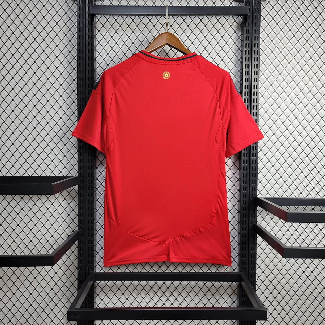2024 Wales Home Football Shirt( Fans Edition )
