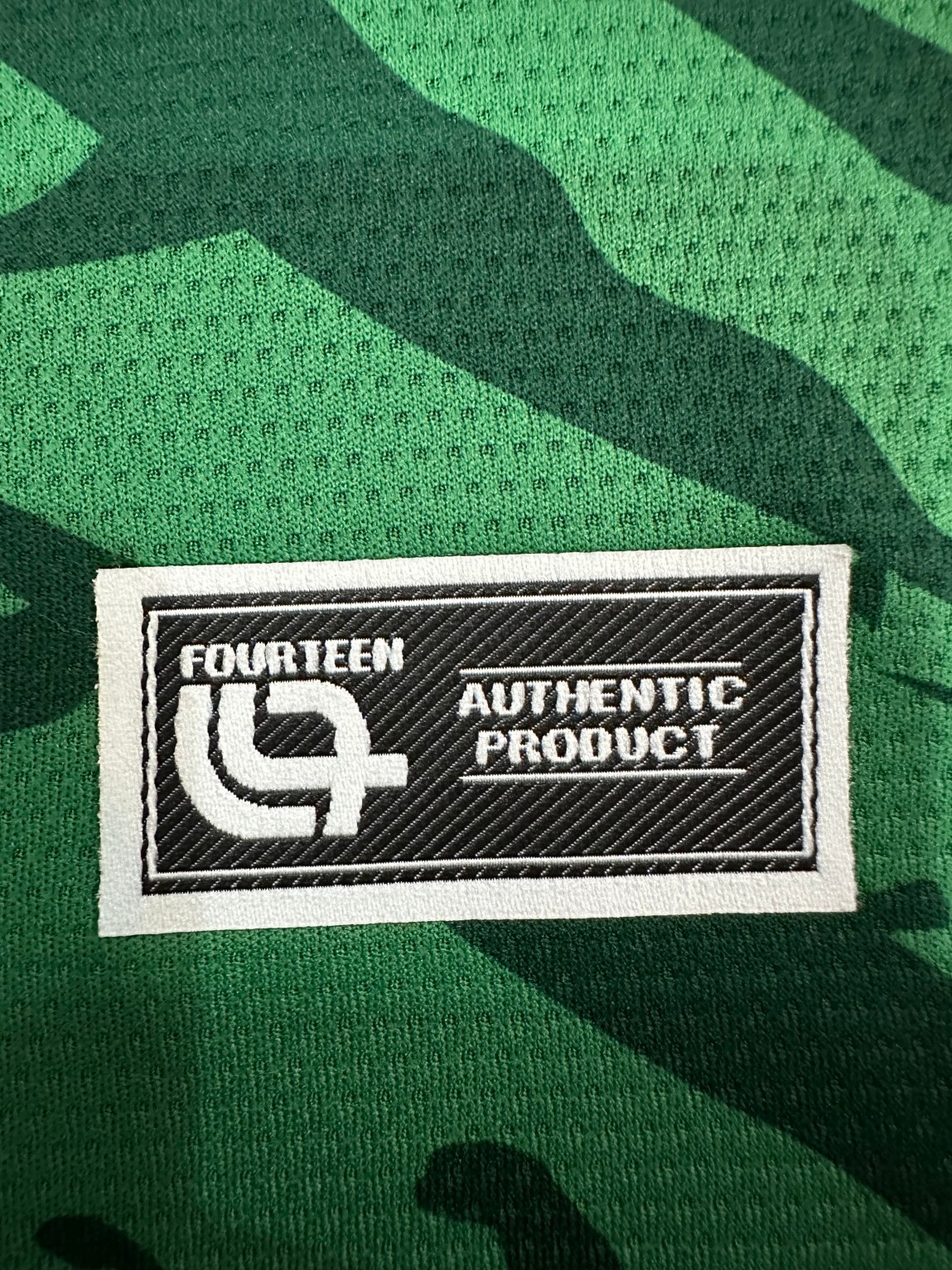 2025/2026 Cameroon Home Football Shirt( Fans Edition )
