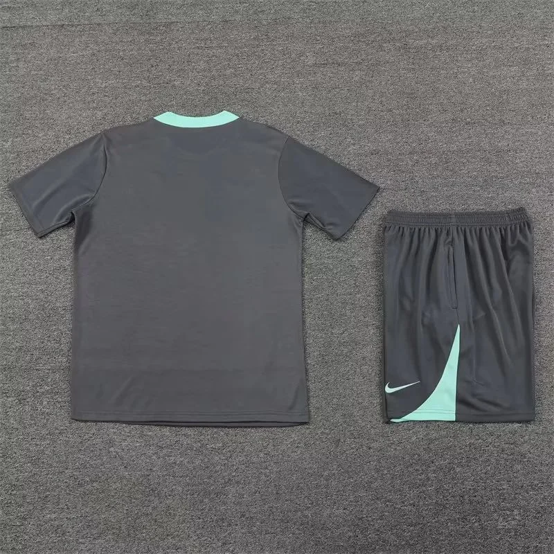 2024/2025 Paris Saint-Germain Training Wear Suit Shirt